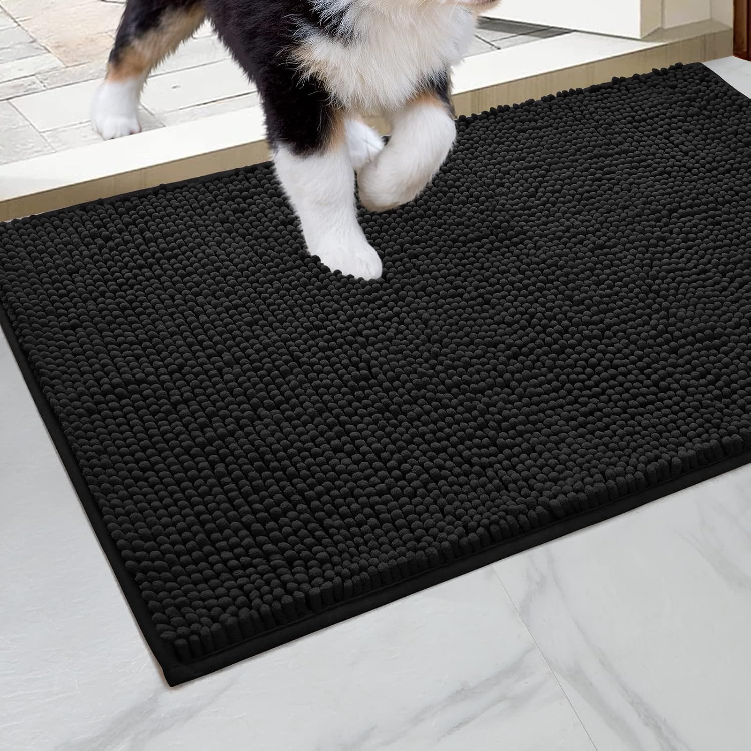 HOMEIDEAS Dog Door Mat for Muddy Paws 30x20, Absorbs Moisture and Dirt, Non-Slip Washable Doormat, Soft Chenille Mud Mat for Dogs