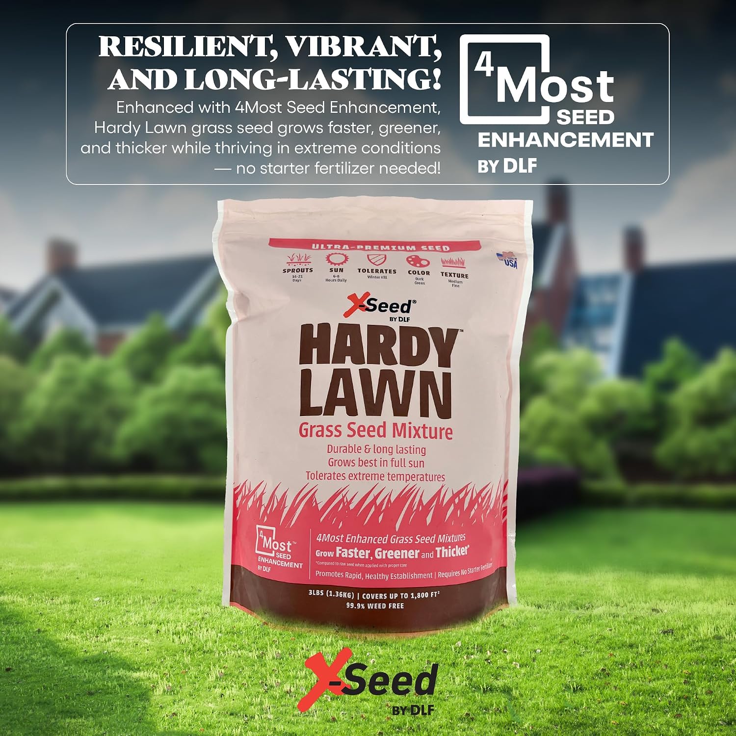 X-Seed Ultra Premium Hardy Lawn Seed Mixture, 7-Pound