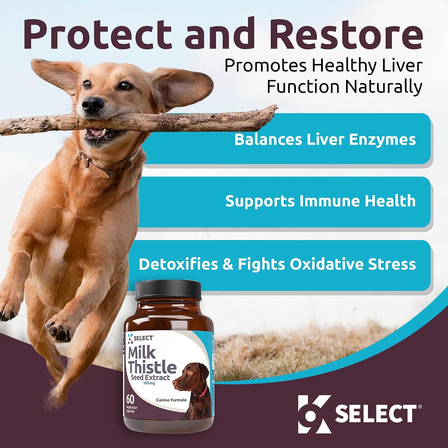 Milk Thistle for Dogs, 100mg - 60 Vegetable Capsules - Canine Liver Health Milk Thistle Supplement - Milk Herbal