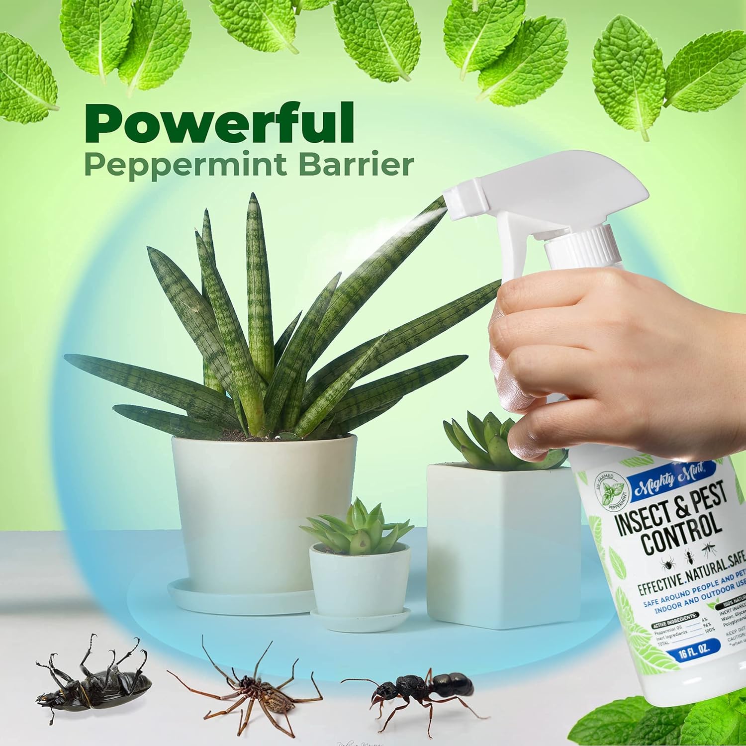 Mighty Mint Peppermint Oil Insect Repellent Spray, 16 oz | Natural Indoor & Outdoor Bug Control for Spiders, Ants, Roaches, Plant-Based, Extra-Strong Formula with Microfiber Cloth