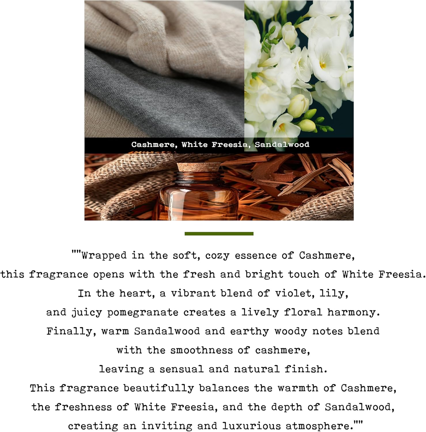 100% Natural Soy Wax Candle by CoCo Benjamin - Highly Scented & Hand-Poured Luxury Candle ((Majestic Balsam Fir Trees) - Clean Burning Cotton Wick