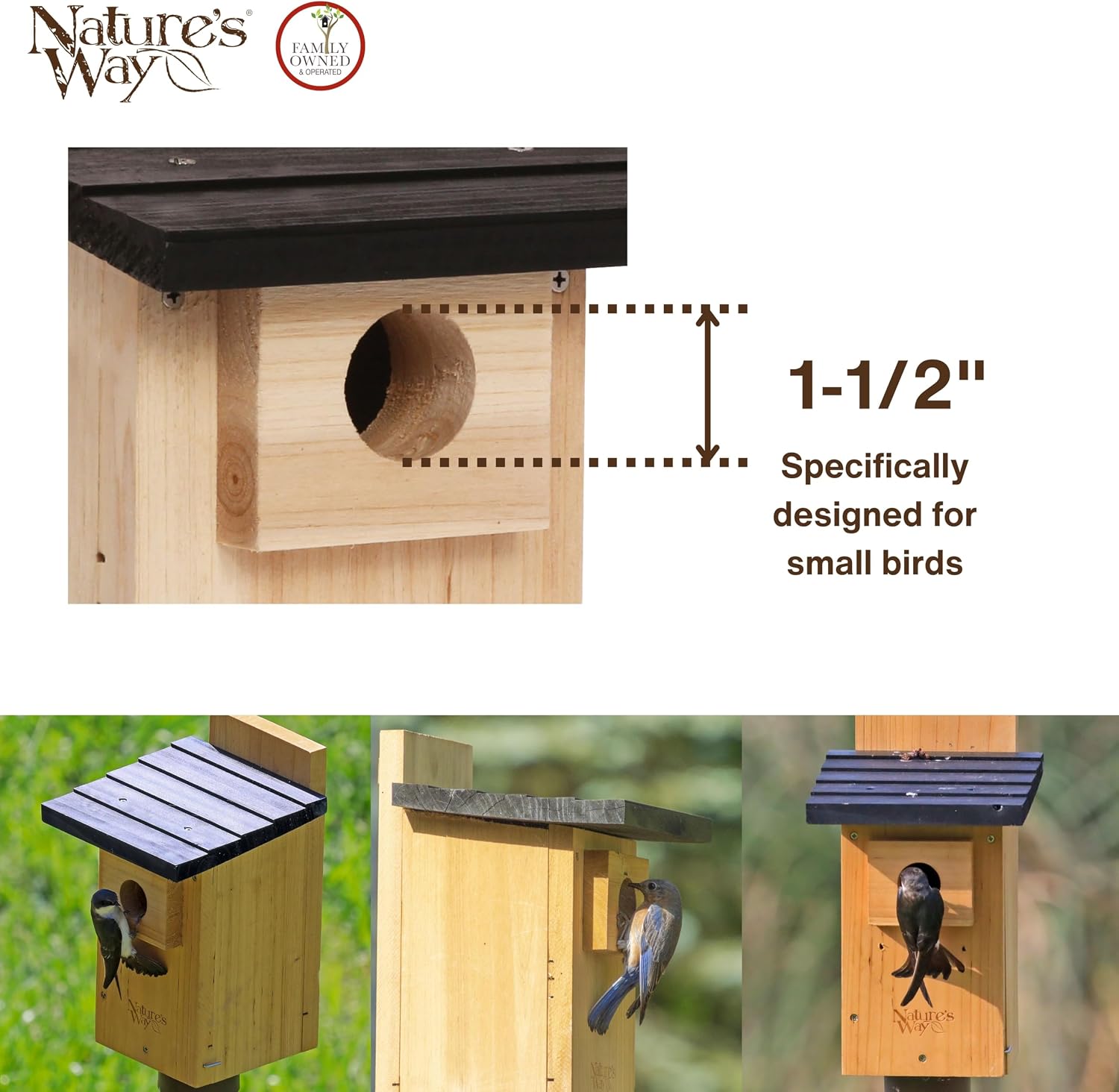 Nature's Way Bird Products CWH4 Cedar Bluebird Viewing House