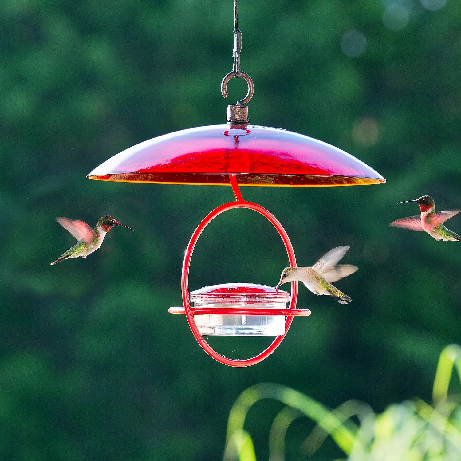 Hummingbird Feeder for Outdoors Hanging, 3.4 OZ Hummingbird Feeders, Glass Bowl with 4 Feeding Ports, Leak Proof Lid & Circular Perch, Bird Feeder (1, Red)