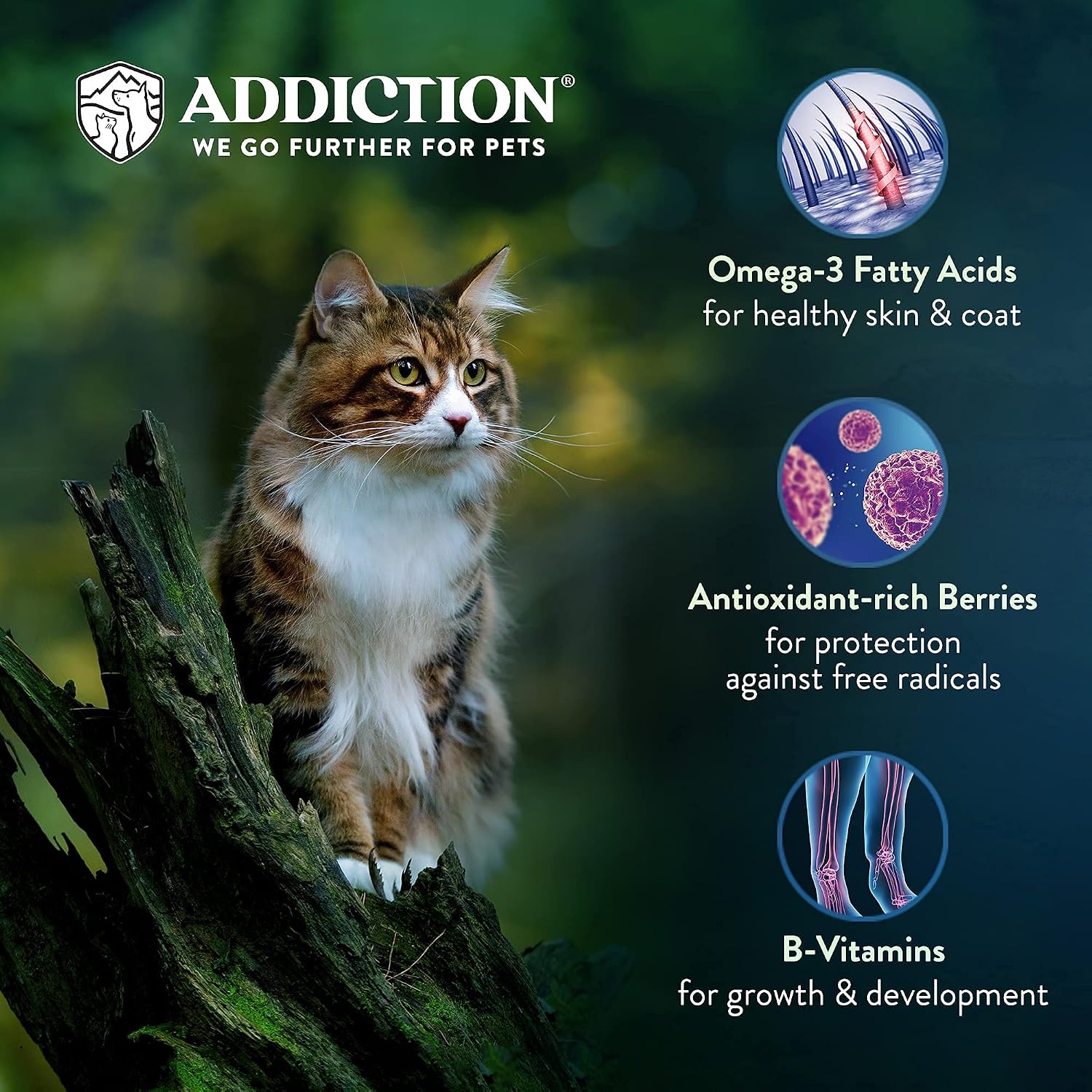Addiction Viva La Venison Grain-Free Dry Cat Food - with Premium Venison to Support Muscle Development & Maintenance - High-Protein Recipe with Chicken & Low Carb - Made in New Zealand - 4lbs