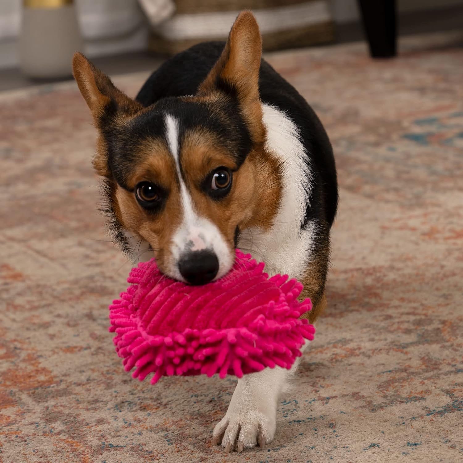 goDog Checkers Just for Me Skinny Cow Squeaky Plush Dog Toy, Chew Guard Technology - White, Mini
