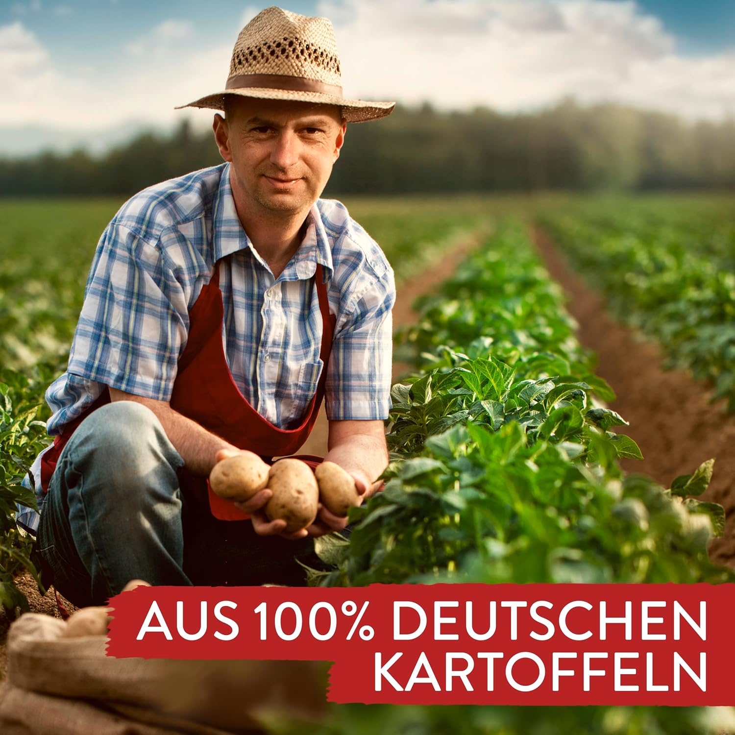 Pfanni Bratkartoffeln 400g/14.1oz Instant Fried Potatoes
