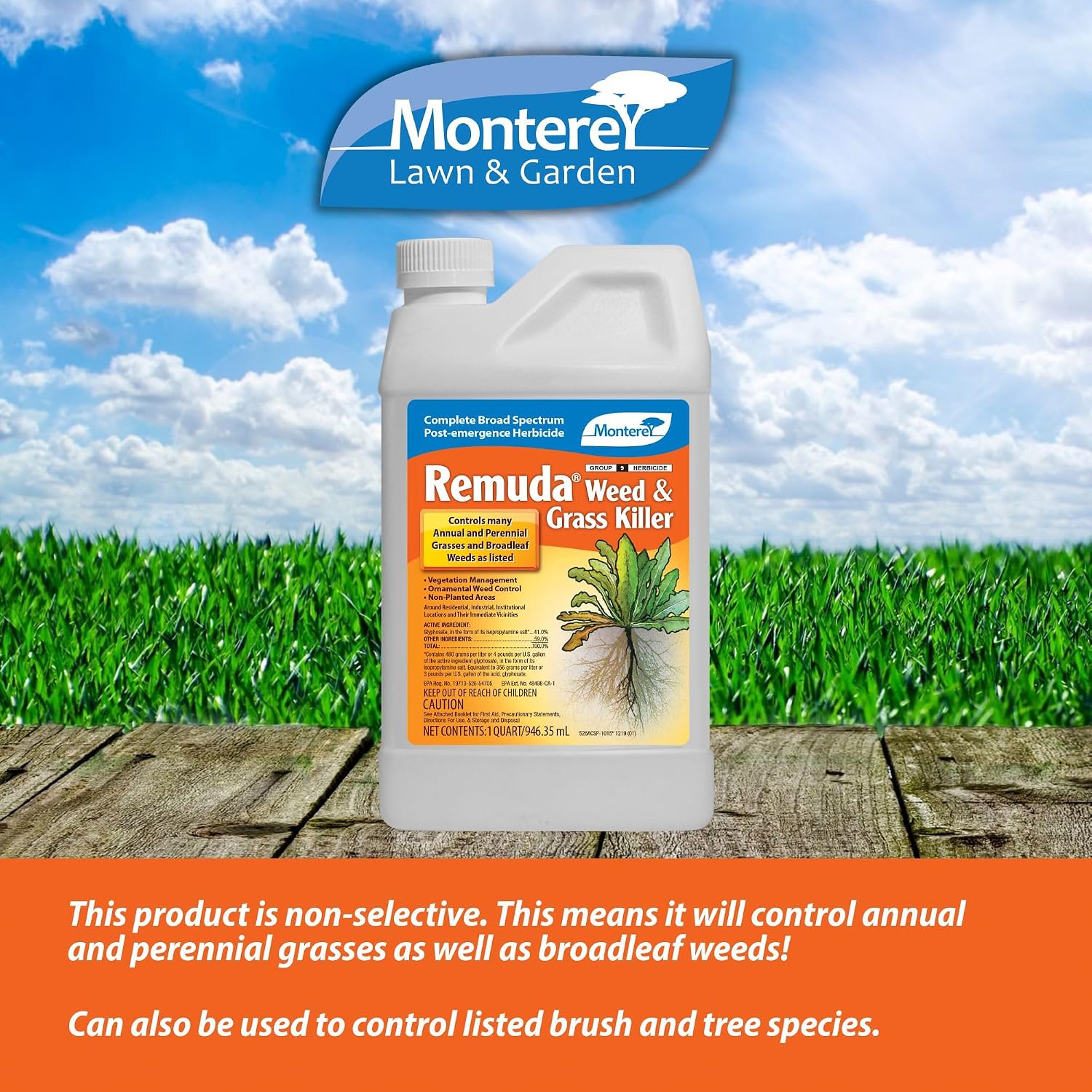 Monterey Remuda Grass and Weed Killer Bundled with Measuring Spoon - Broad Spectrum Non-Selective Post-Emergent Herbicide Concentrate for Vegetation
