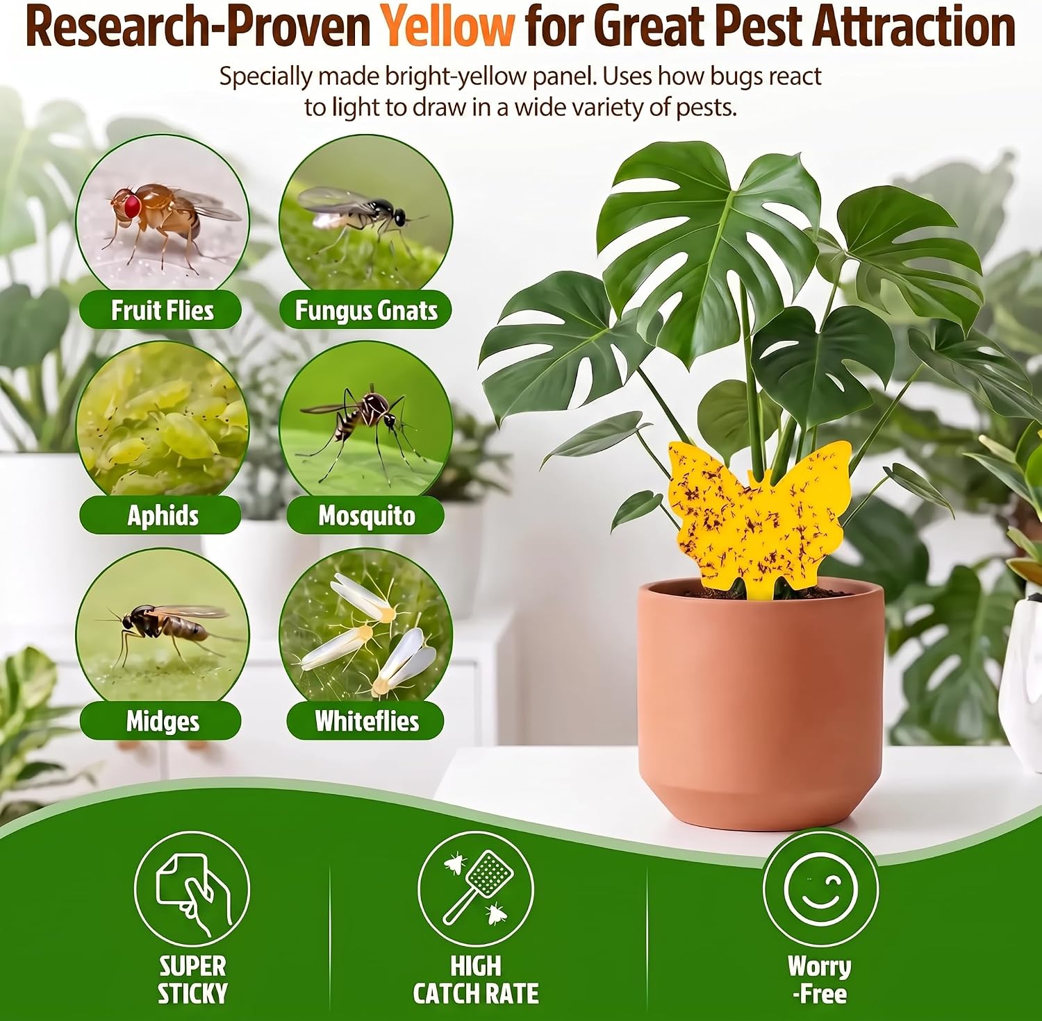 40 Pack Fungus Gnat Traps, Yellow Sticky Fruit Fly Traps for Indoor Plants