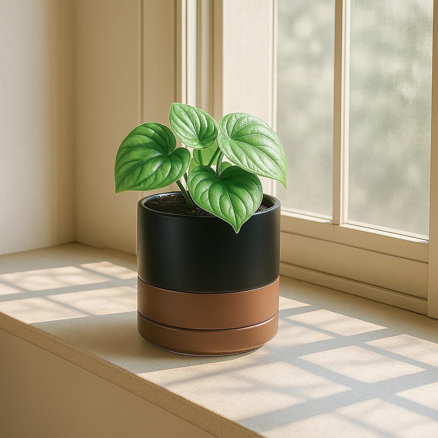 D'vine Dev 2-Pack Ceramic Pots with Saucers, White/Grey, 4.7 in, 94-V-B-6