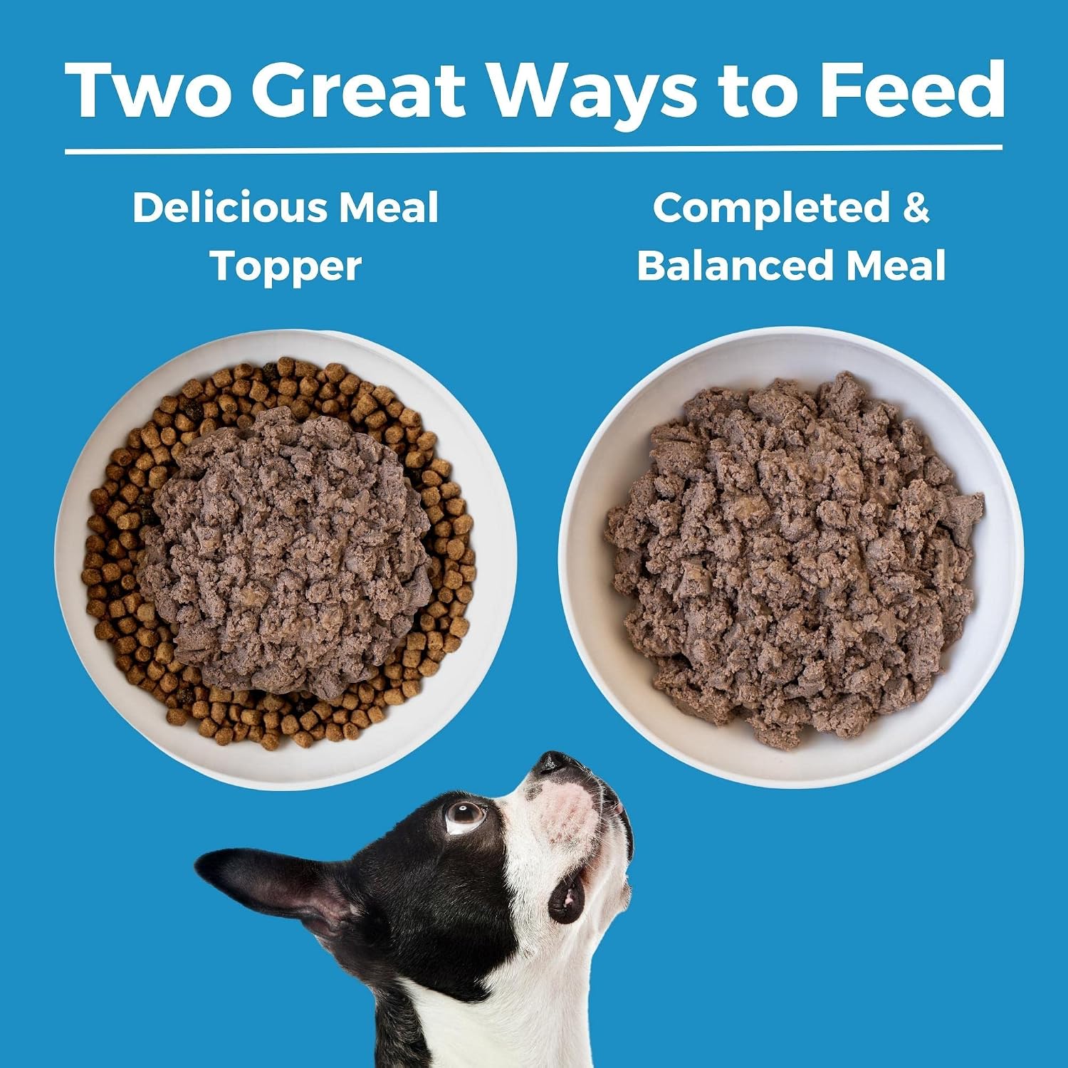 KOHA Limited Ingredient Diet Lamb Entrée for Dogs