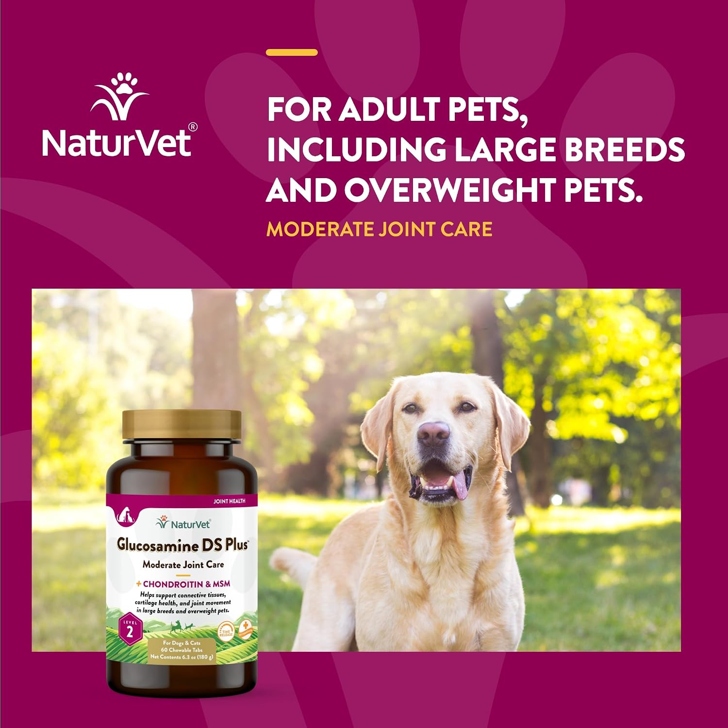NaturVet – Glucosamine DS Plus - Level 2 Moderate Care – Supports Healthy Hip & Joint Function – Enhanced with Glucosamine, MSM & Chondroitin – for Dogs & Cats–70 Soft Chews