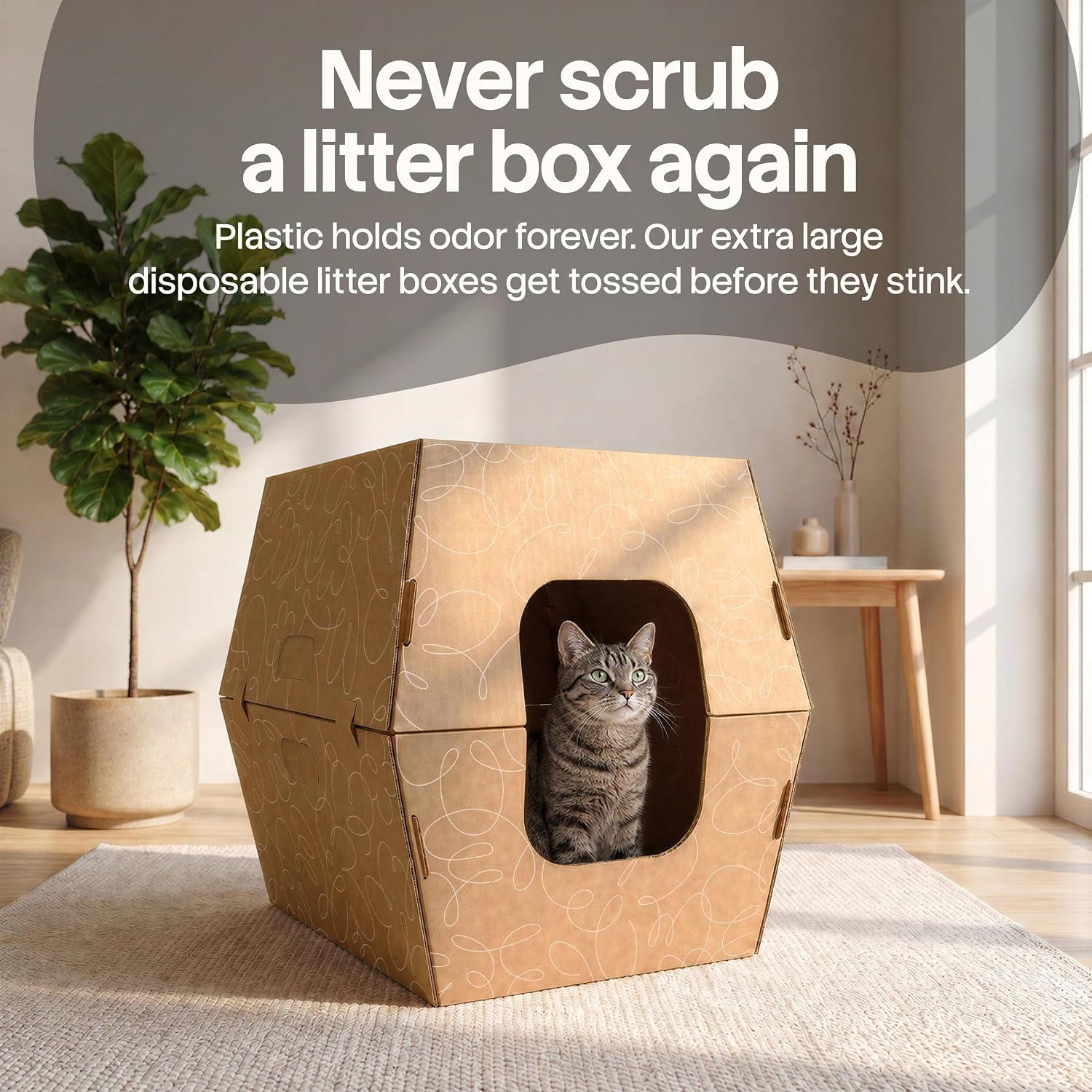 Cats Desire - Disposable Litter Boxes for Cats
