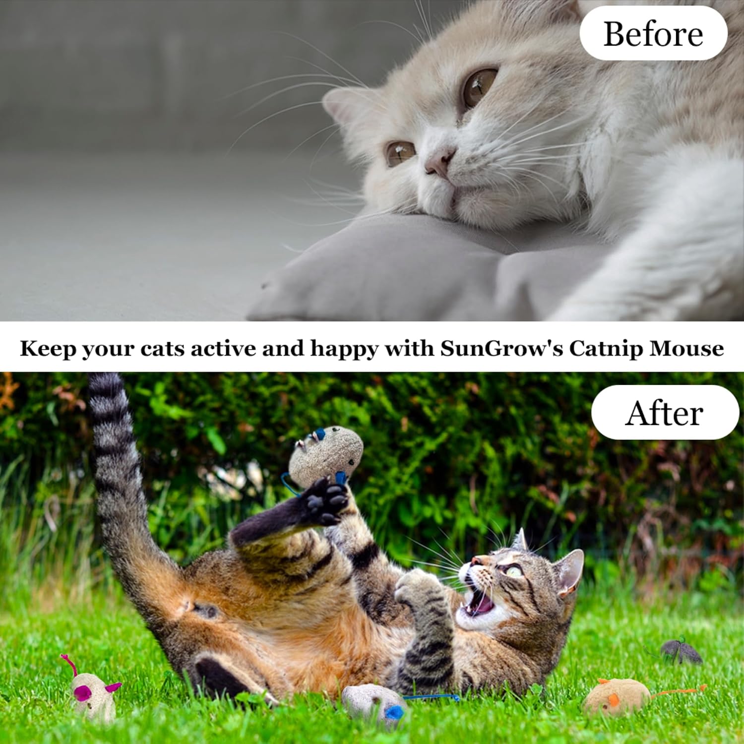 SunGrow Cat Catnip Mice Toys, Furry Plush for Hunting and Pouncing Instinct, 2”, Interactive, Encourages Agility, Coordination, Fun for Hours
