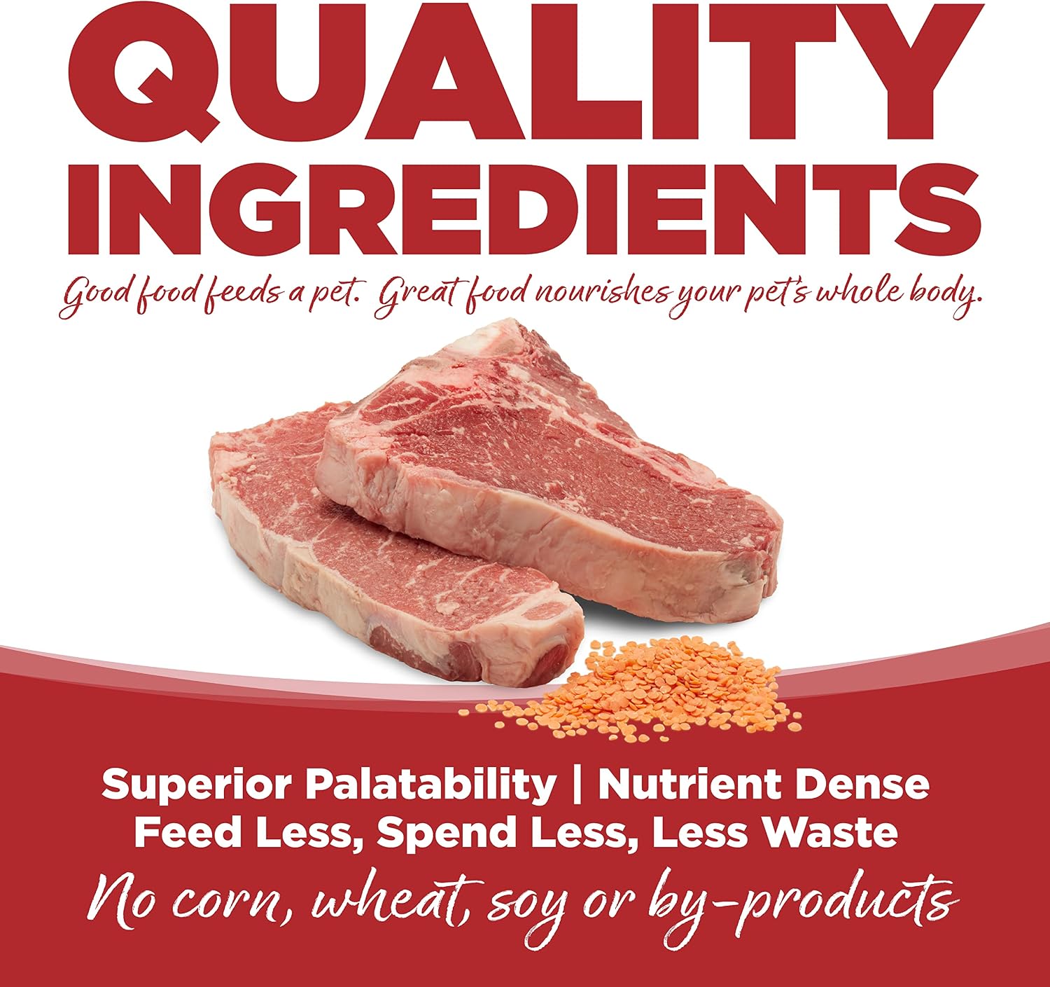 NutriSource Pure Vita Limited Ingredient Grain Free Dry Dog Food, Salmon and Peas, 25LB | Limited Ingredient, Single Protein, Sensitive Stomach, Allergy, Sweet Potato, Skin and Coat