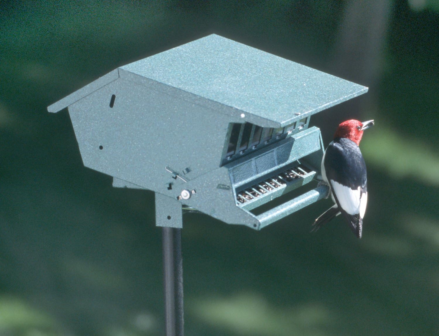 Audubon Bird's Delight Squirrel Resistant Bird Feeder Model 7511i