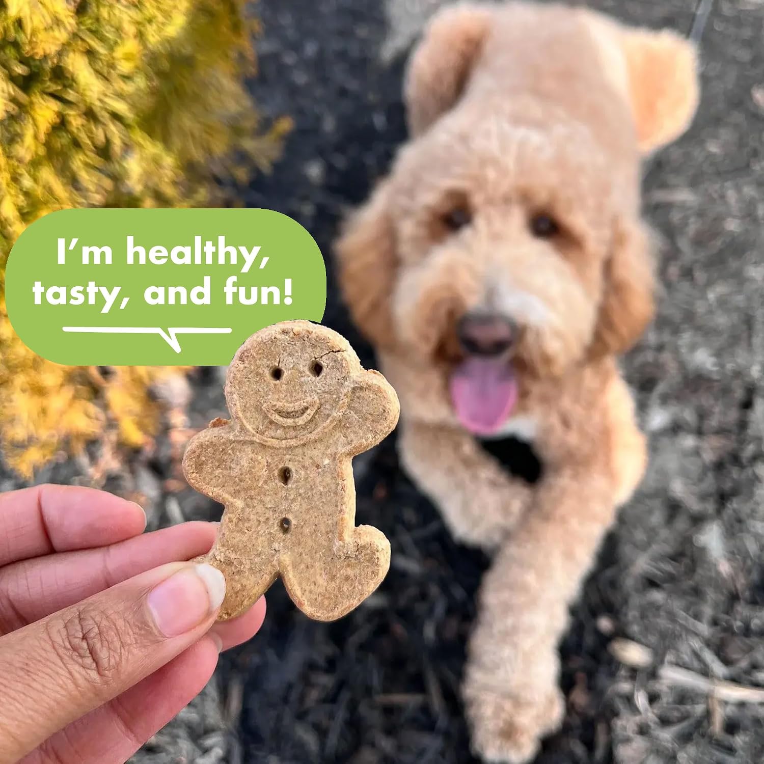 Buddy Biscuits Grain Free Dog Treats, Baked in USA, Large Size Treat with Natural Peanut Butter 14 oz.