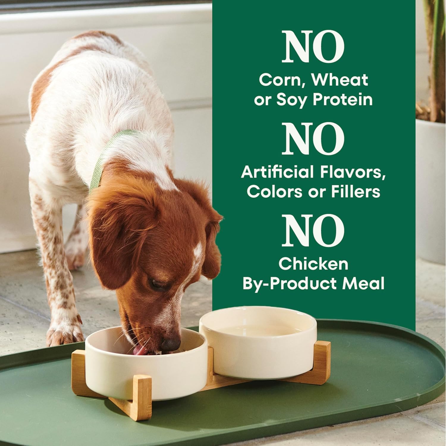 Nutro Natural Choice Small Breed Dry Dog Food, Chicken & Rice, 5 lb | Non-GMO, Real chicken #1 ingredient, no corn, wheat, soy, Omega-3 & 6 for soft shiny coat, supports energy, bones & muscles