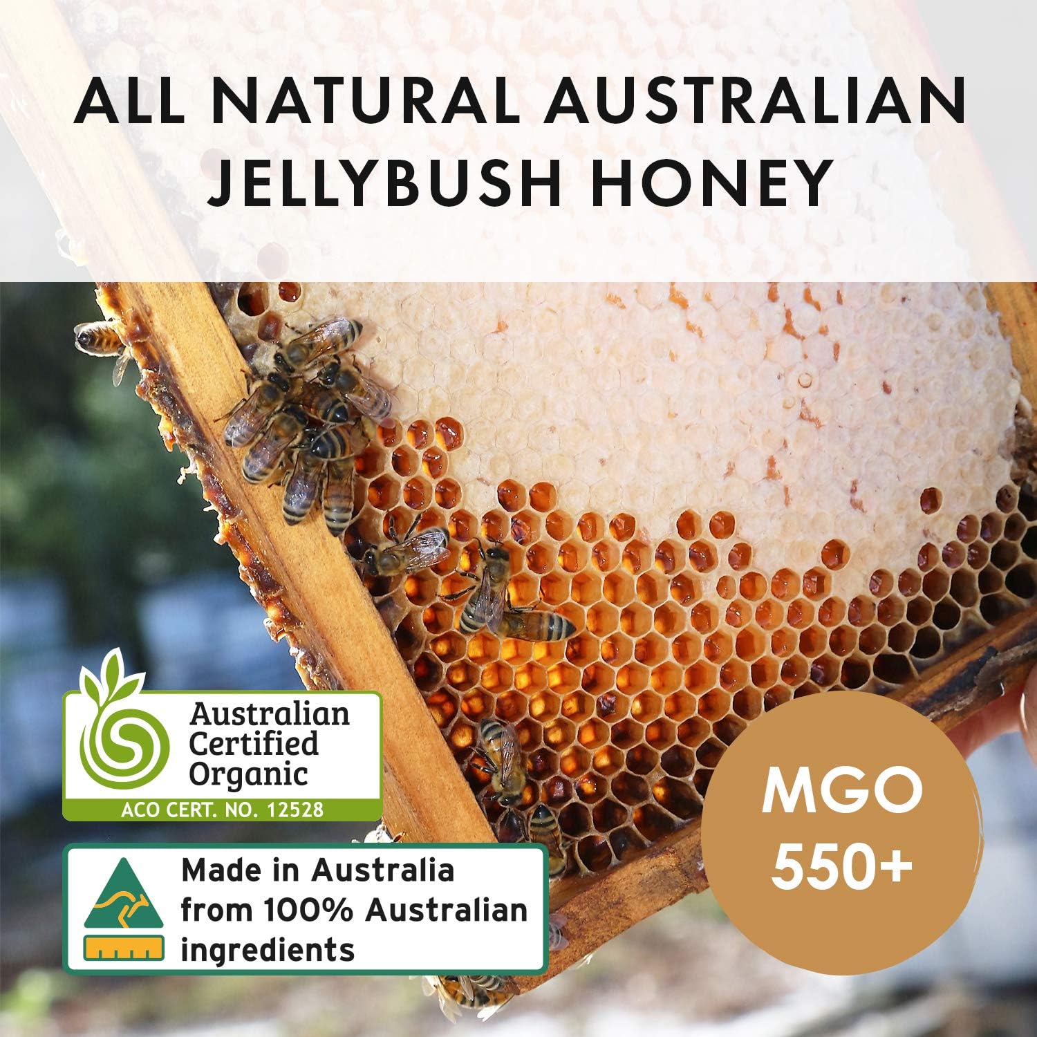 BIOSOTA Organic Manuka Honey MGO 550+ - Medical Grade Manuka Honey from Australia NPA/ULF 15+, 100% Raw Unheated Pure Honey, 8.8oz (550+) (MGO 550+)