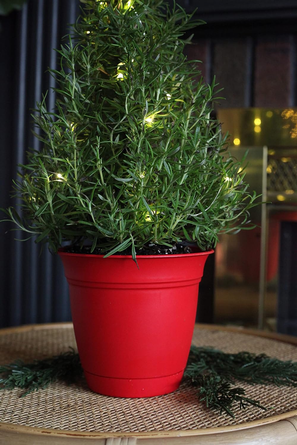 The HC Companies Eclipse Round Planter with Saucer - Outdoor & Indoor Plant Pot with Drainage Holes - Lightweight