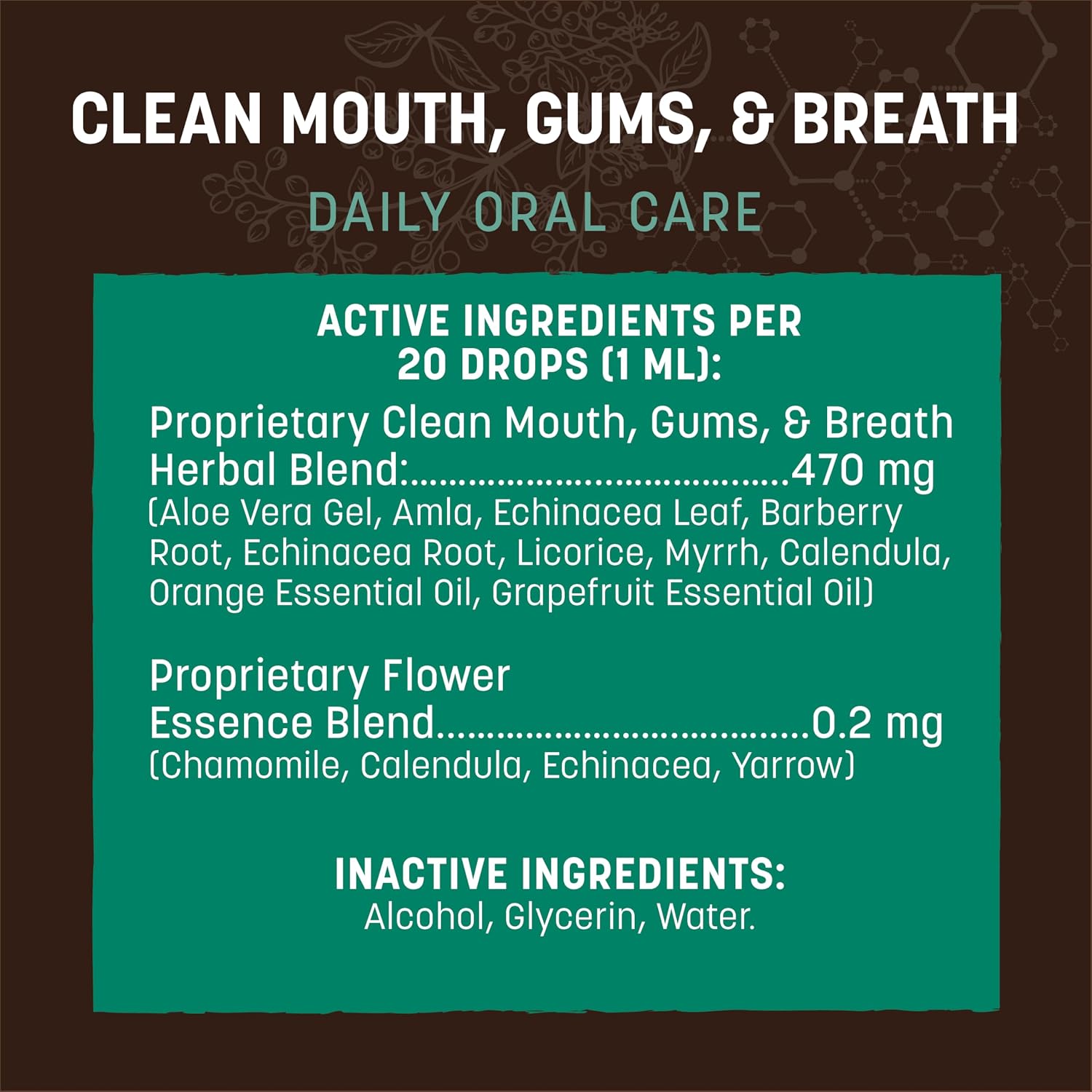 Earth Animal Apothecary - Urinary & Kidney Relief for Dogs & Cats - 2 fl oz | Herbal Remedies Liquid Supplement Blend - Uva Ursi, Couch Grass, Gravel Root, Yarrow, Cleavers, Marshmallow Root, Cornsilk