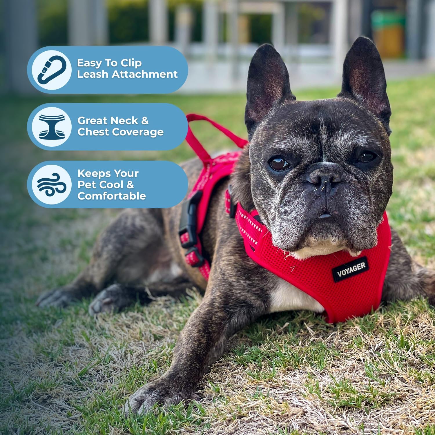 Voyager Step-in Flex Adjustable Dog Harness - Black, Medium | 17 - 21" in Chest, Fully Adjustable, Reflective Bands, All Weather Breathable Air Mesh, Lightweight, Fast Drying