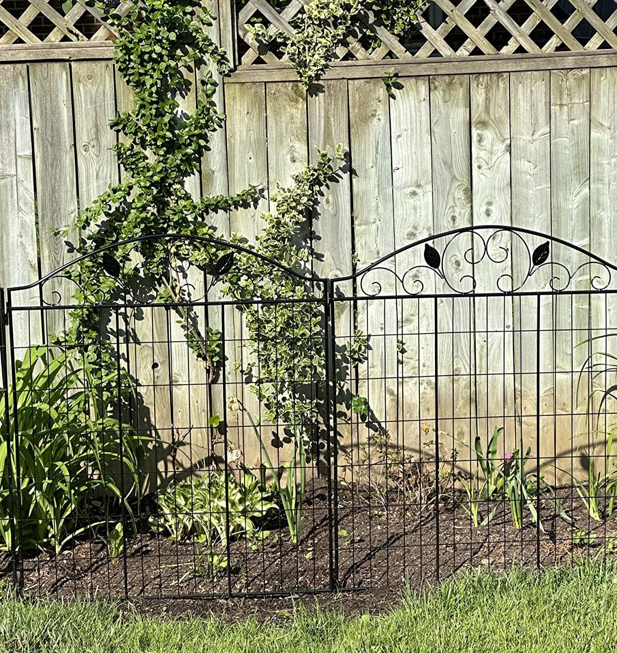 4 Pack 44" H 36" W (Linear Length 12 feet) Black Coated Heavy Duty Steel Decorative Garden Fence Each Panel with 2 Leaves