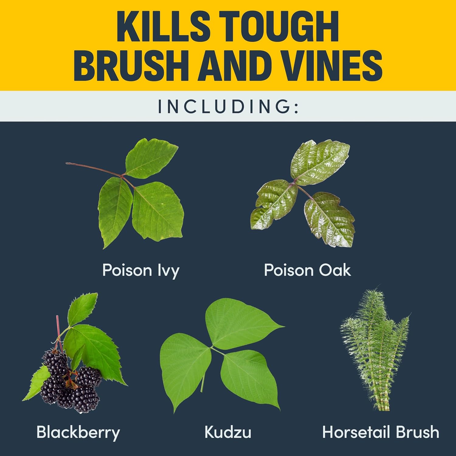 Image Brush & Vine Killer Concentrate, 32 oz