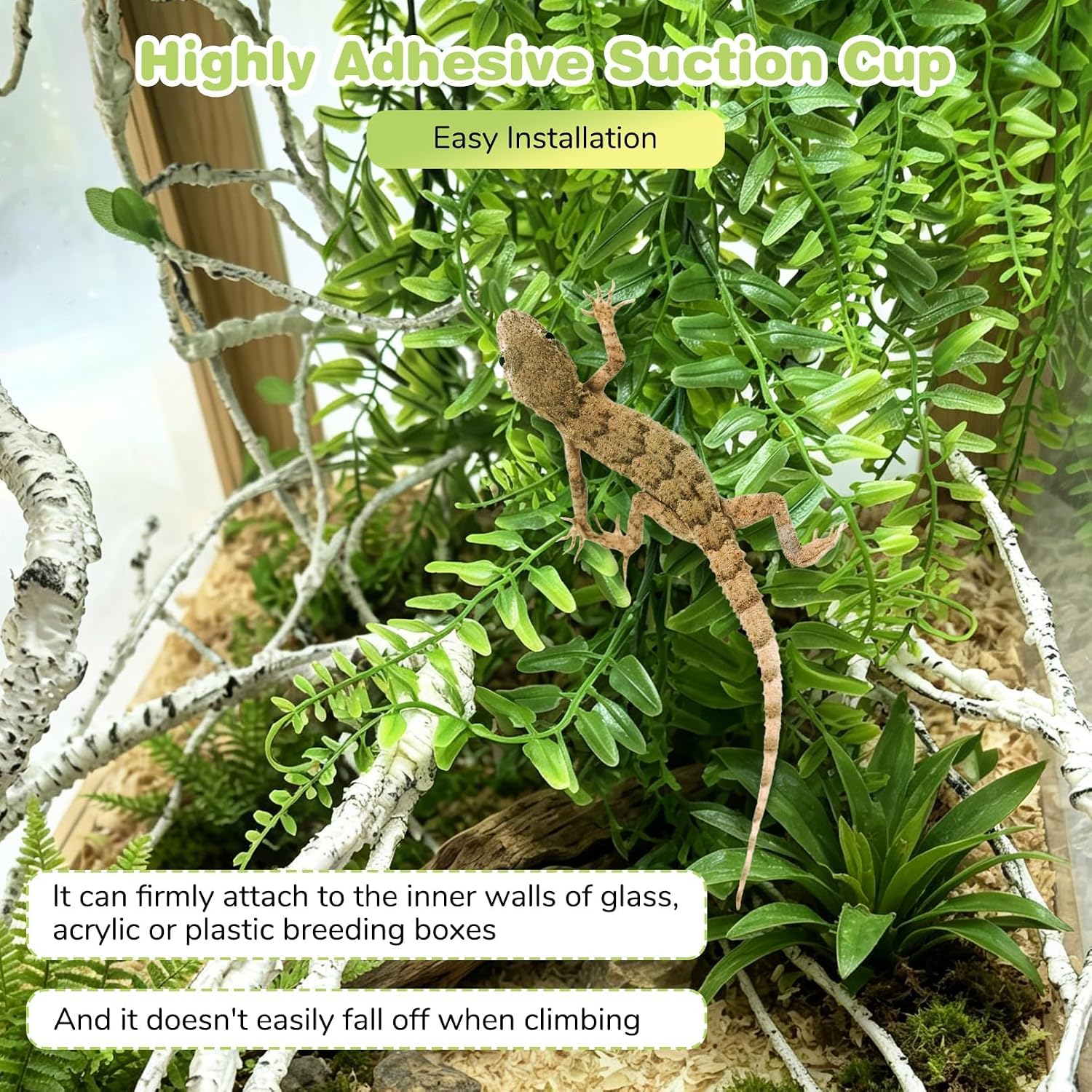 PINVNBY Reptile Plants Hanging Fake Vines Boston Climbing Terrarium Plant with Suction Cup for Bearded Dragons Lizards Crested Gecko Snake Hermit