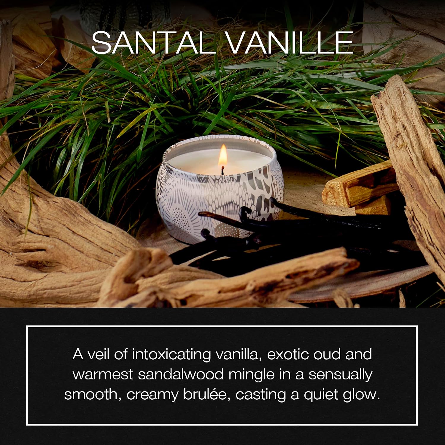 Voluspa Baltic Amber Candle | Mini Tin | 4 Oz. | 25 Hour Burn Time | Coconut Wax for a Cleaner Burn