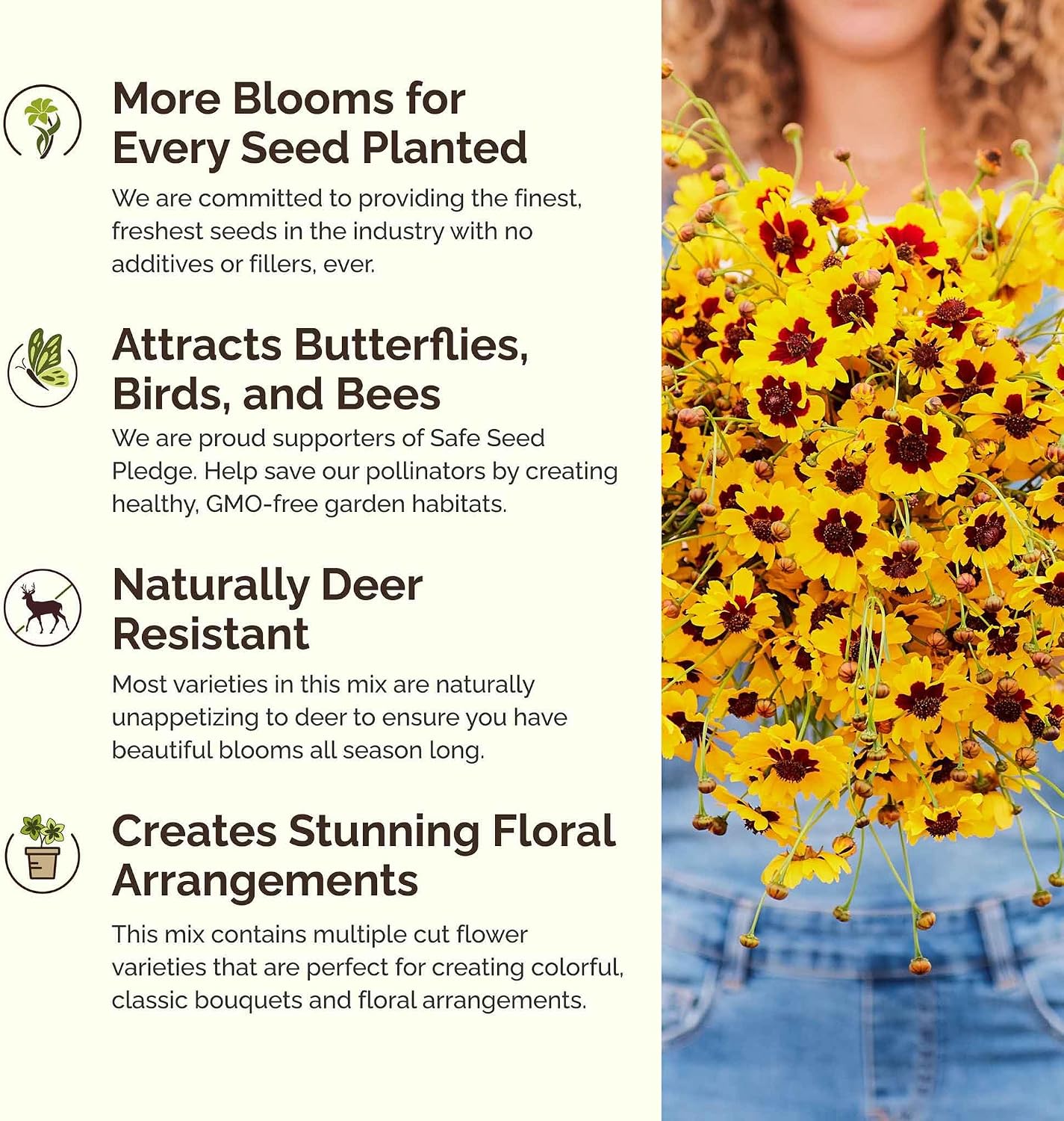 Eden Brothers All Perennial Wildflower Mixed Seeds for Planting, 1 lb, 480,000+ Seeds with Lupine, Shasta Daisy | Attracts Pollinators, Plant in Spring or Fall, Zones 3, 4, 5, 6, 7, 8, 9, 10