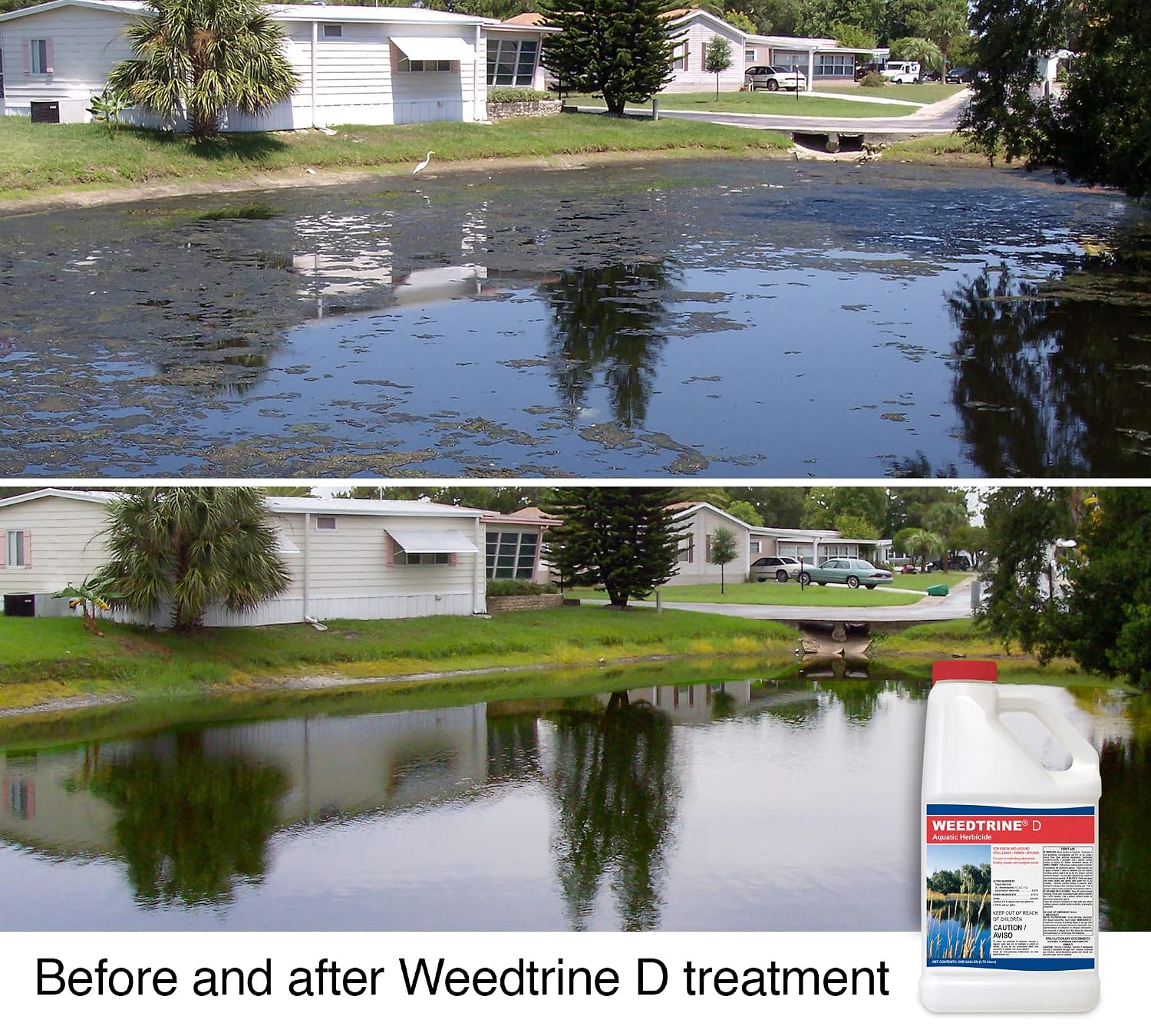 Weedtrine D Aquatic Herbicide 1 Gallon Spray for Fast, Broad-Spectrum Control of Duckweed, Floating, Submersed & Emergent Weeds, Professional-Grade