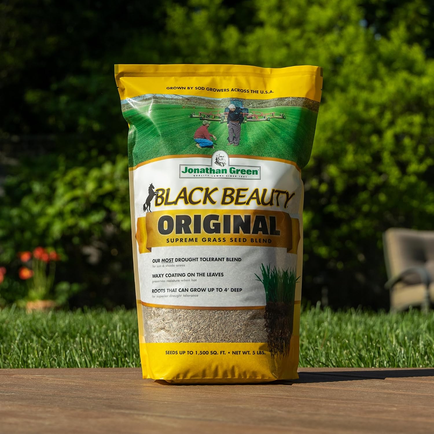 Jonathan Green (10317) Black Beauty Original Grass Seed Blend - Cool Season Lawn Seed (15 lb)