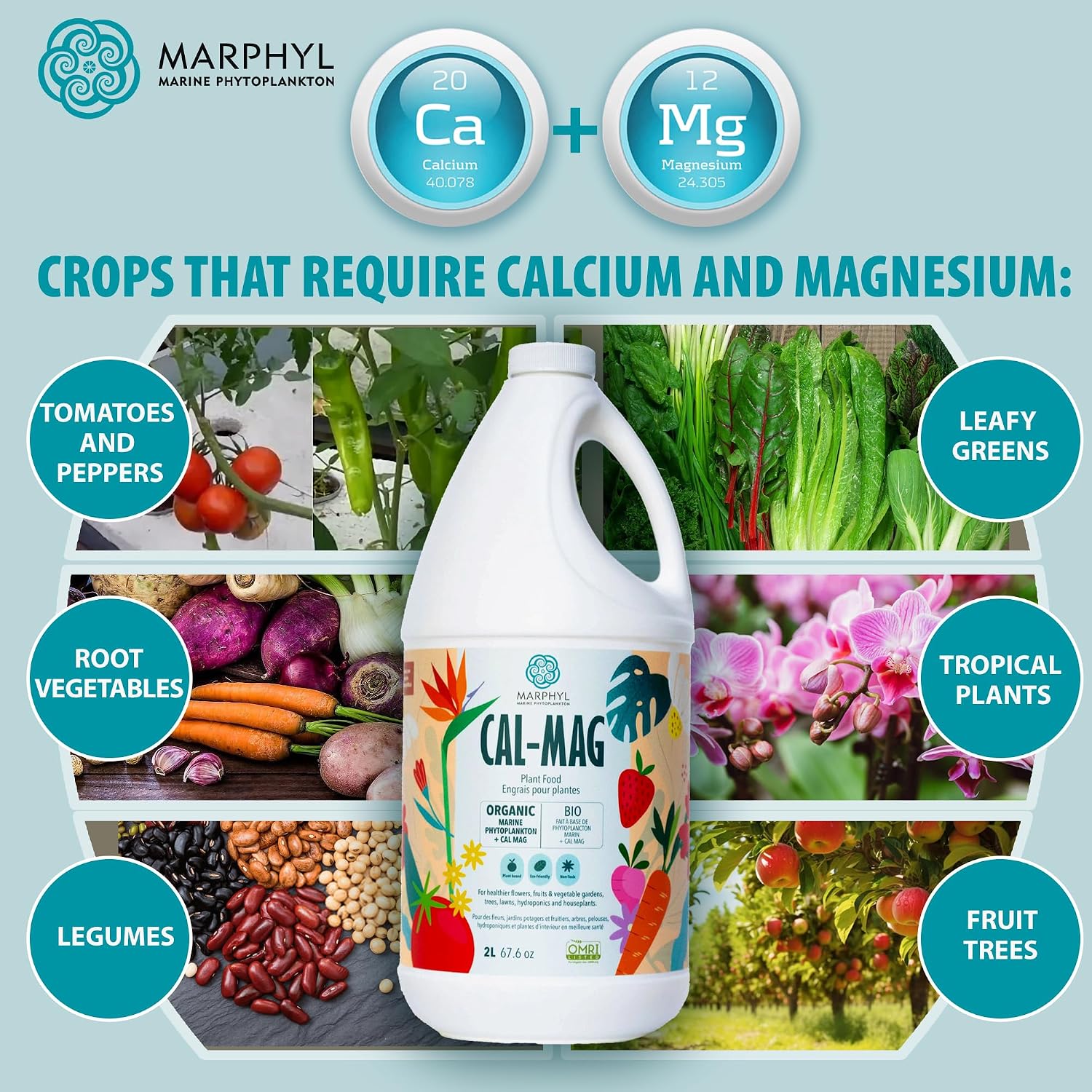 MARPHYL All-Purpose Plant Food – Organic Nutrient-Rich Fertilizer & Soil Enhancer for Indoor & Outdoor Flowers, Vegetables, Succulents, Bamboo & Hydroponics