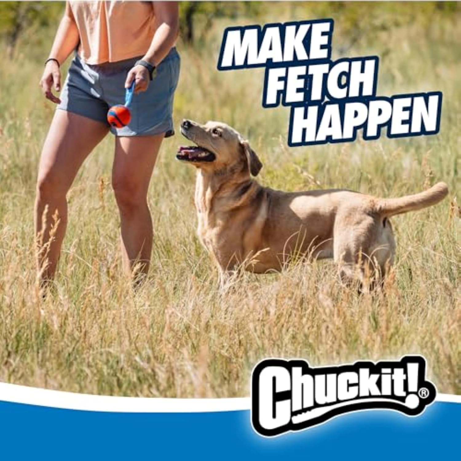 Chuckit! Ultra Tug Dog Toy - Ultra Ball on a Durable Nylon Cord Handle - Fetch and Tug-of-War Toy for Dogs - Size Large - For Breeds 60-100 lbs - 3-inch Diameter - Orange and Blue