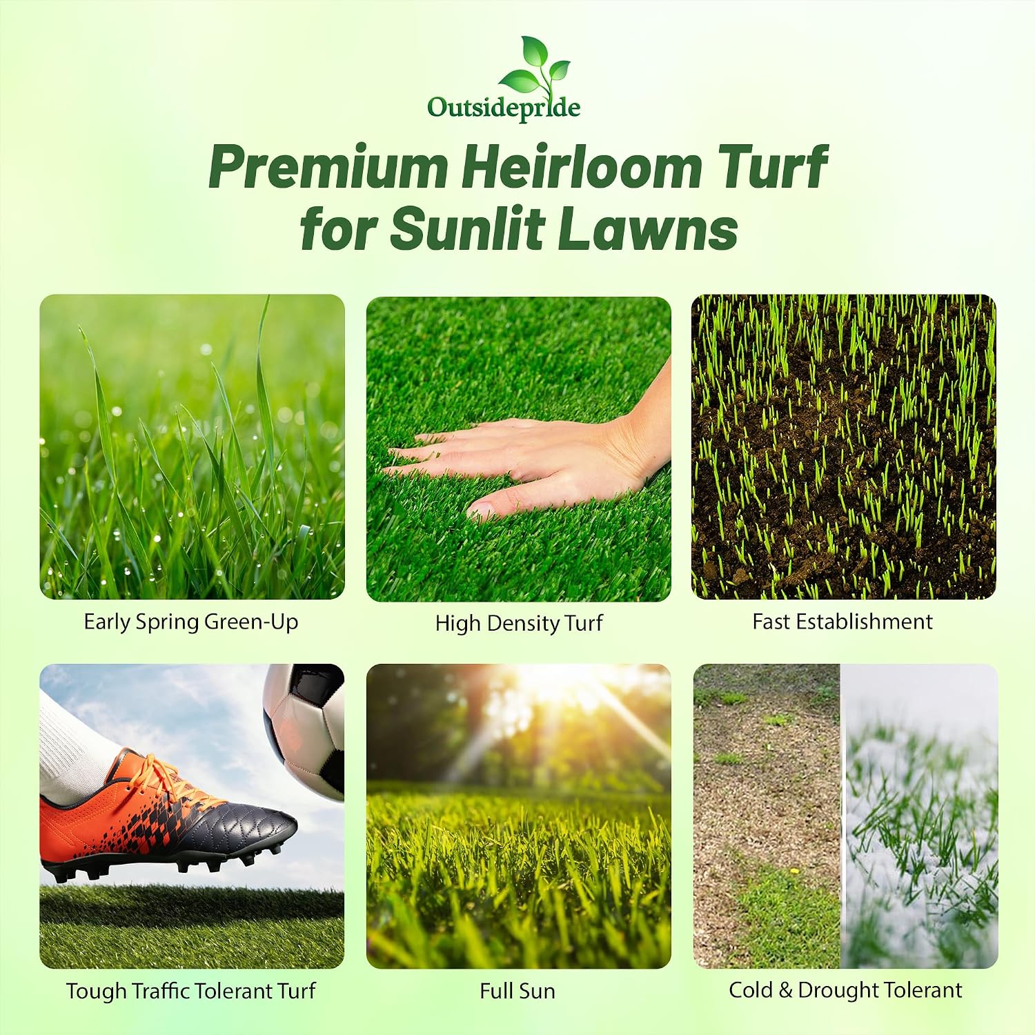 Outsidepride Full House Bermuda Grass Seed Mix - 2 lbs. Premium Warm Season Turf Blend of Traffic & Drought-Tolerant Monaco & Hollywood Bermuda