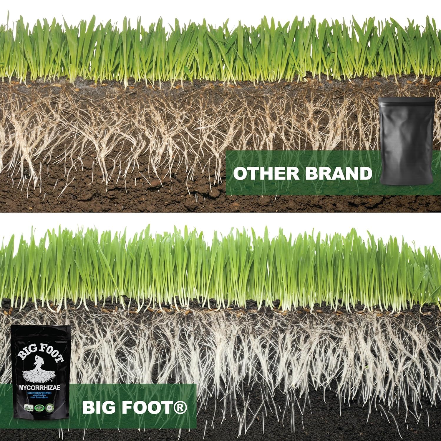 Big Foot Mycorrhizae for Plants, Potted Plants and Gardens - Concentrate Fully Dissolves in Water, Year Round Organic Fertilizer for Root Growth and Healthy Soil - 32 Ounces of Mycorrhizal Inoculant