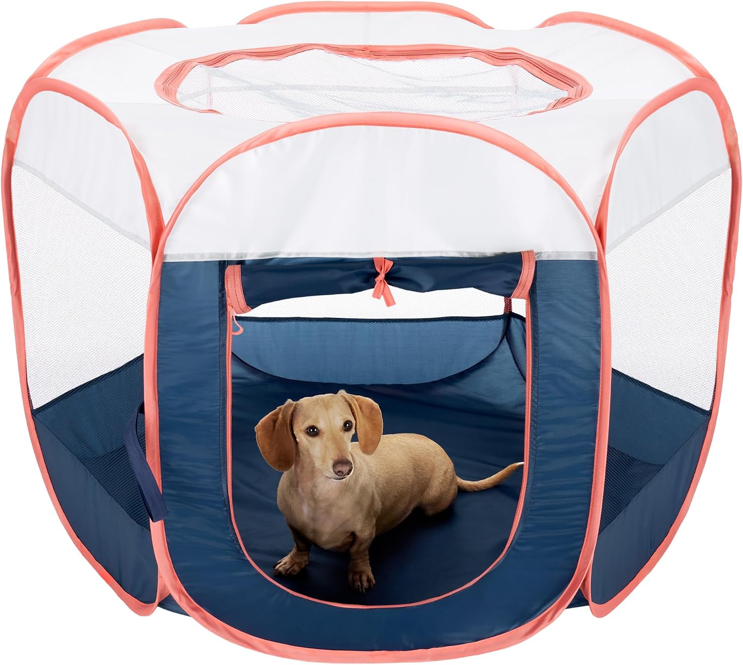 Furhaven Portable Dog Playpen Cat Tent, Pet playground,Kennel foldable indoor outdoor zippered puppy crate - Hunter Green, Medium