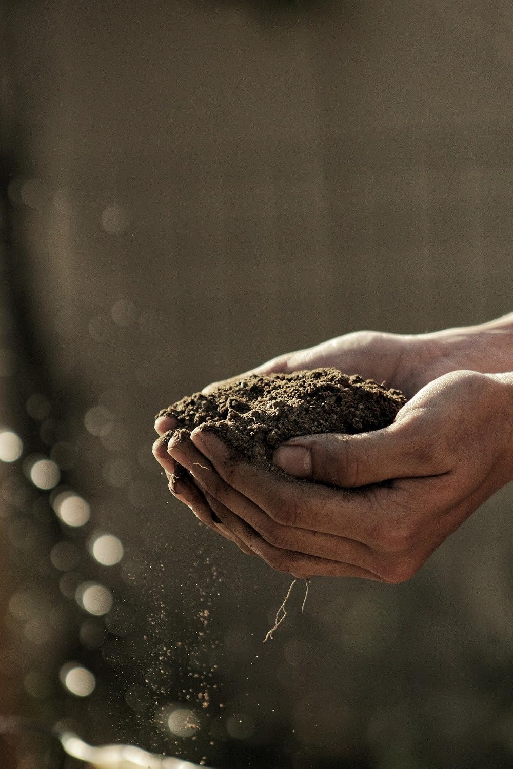 Autoflower Living Soil Concentrate for Super Soil