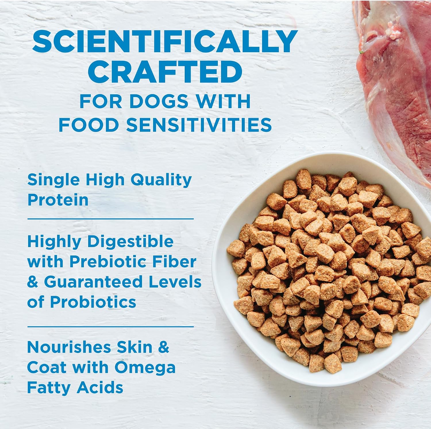 Wellness Simple Limited Ingredient Small Breed Adult Dry Dog Food, Grain Free Kibble, Sensitive Stomach, Skin & Coat Support, Natural, Chicken Free, Salmon and Potato Recipe, 10.5 lb Bag