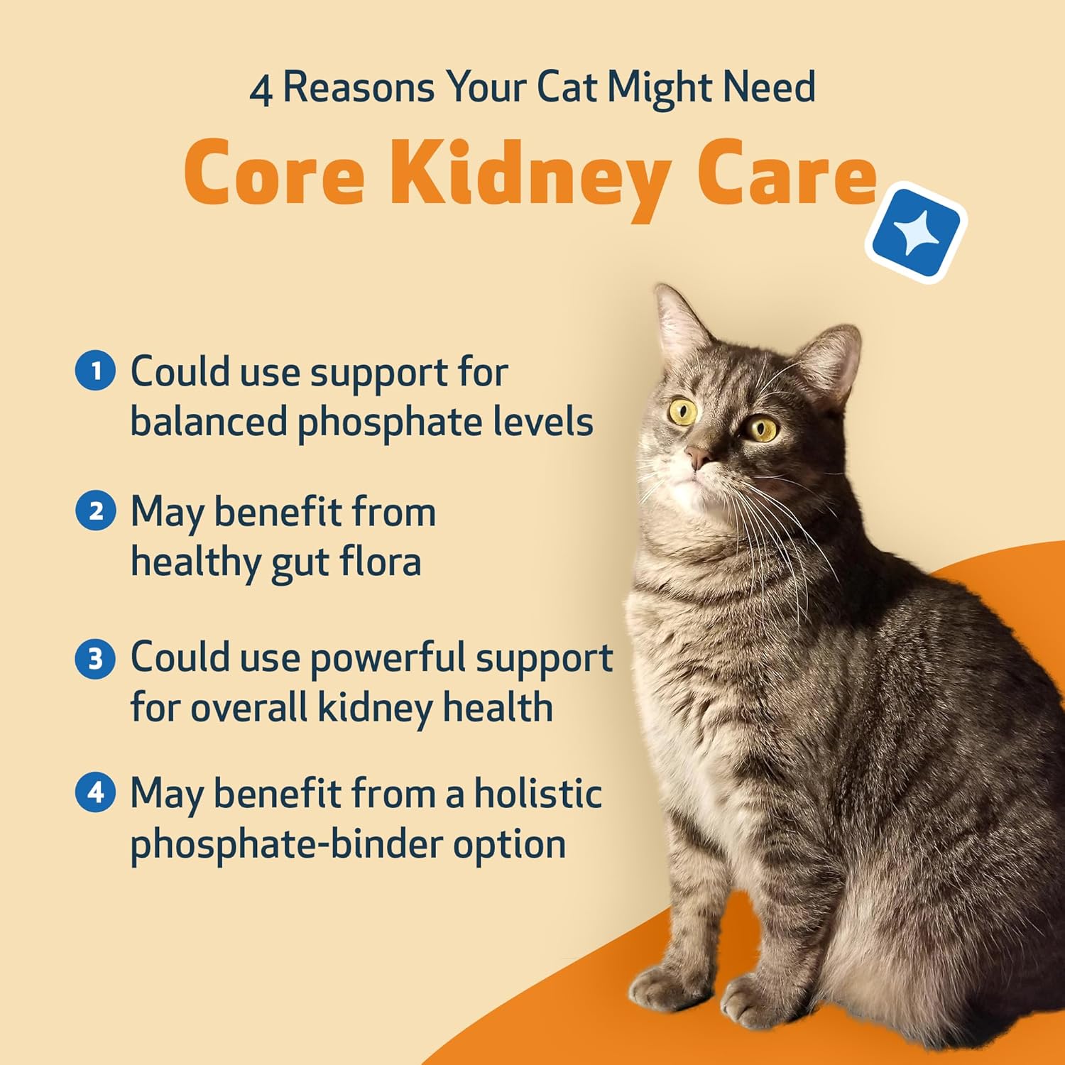 Pet Wellbeing Kidney Support Gold for Cats - Supports Normal Kidney Function & Detox, Healthy Hydration & Energy with Rehmannia & Dong Quai - NASC Certified & Vet-Formulated - 2oz Liquid Formula | NASC Certified & Vet-Formulated Liquid Kidney Support Sup…