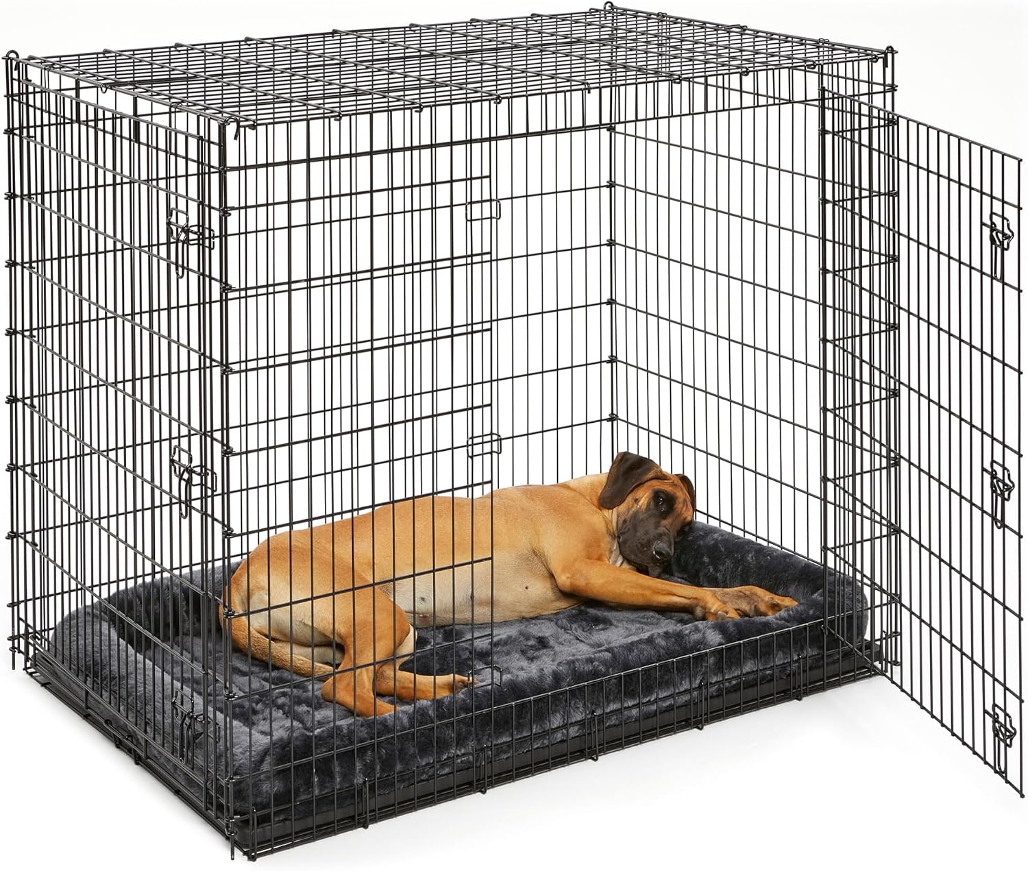 MidWest Homes for Pets 48-Inch iCrate for Extra-Large Breeds, 90-110 lbs, Single Door Folding Dog Crate with Divider Panel, Leak-Proof Tray & Secure Latches, Portable, Durable & Easy to Assemble