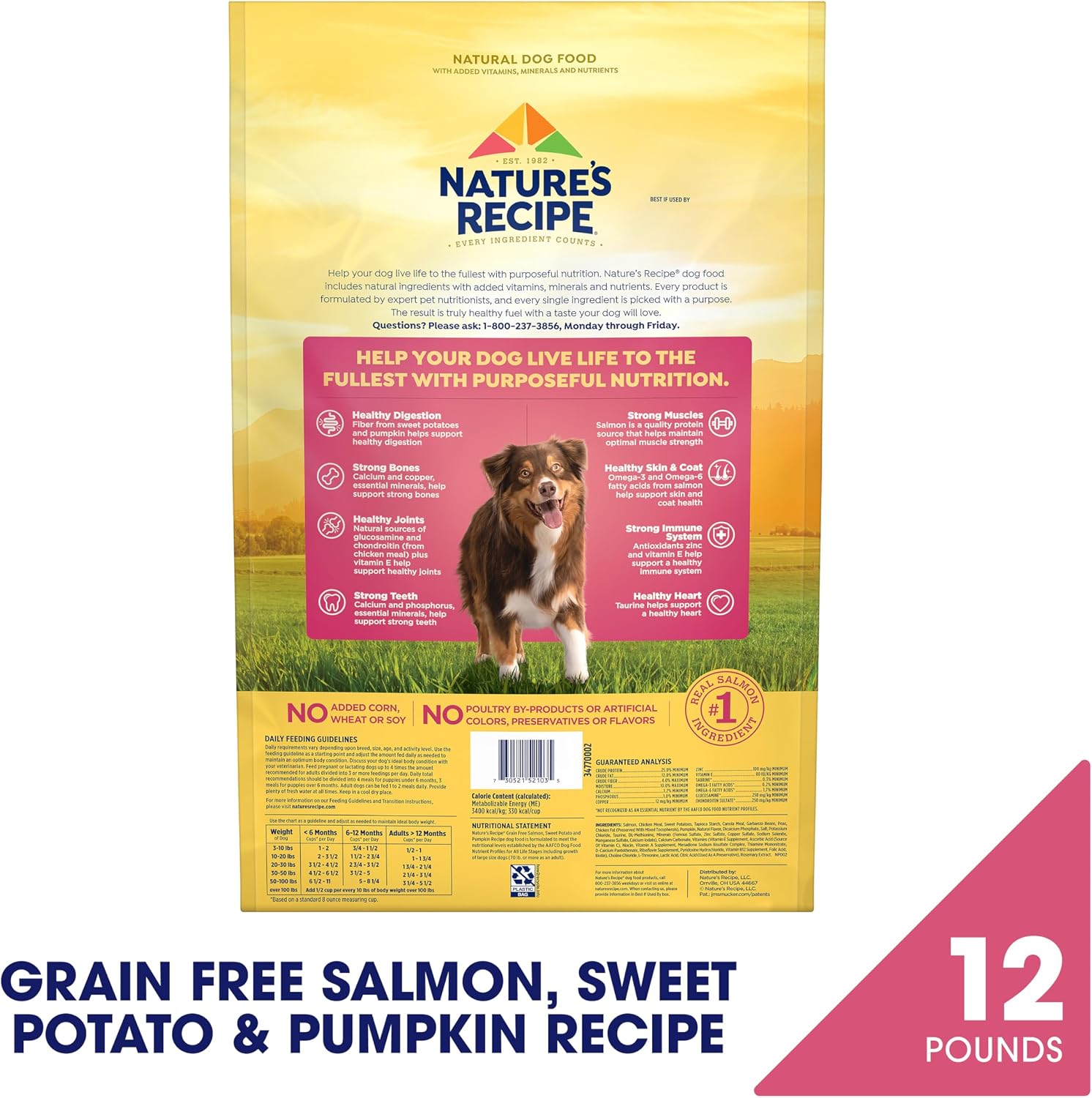 Nature's Recipe Grain Free Salmon Dry Dog Food, 24 lb. Bag | Fiber From Sweet Potatoes & Pumpkin Helps Support Digestion and Immune System Health