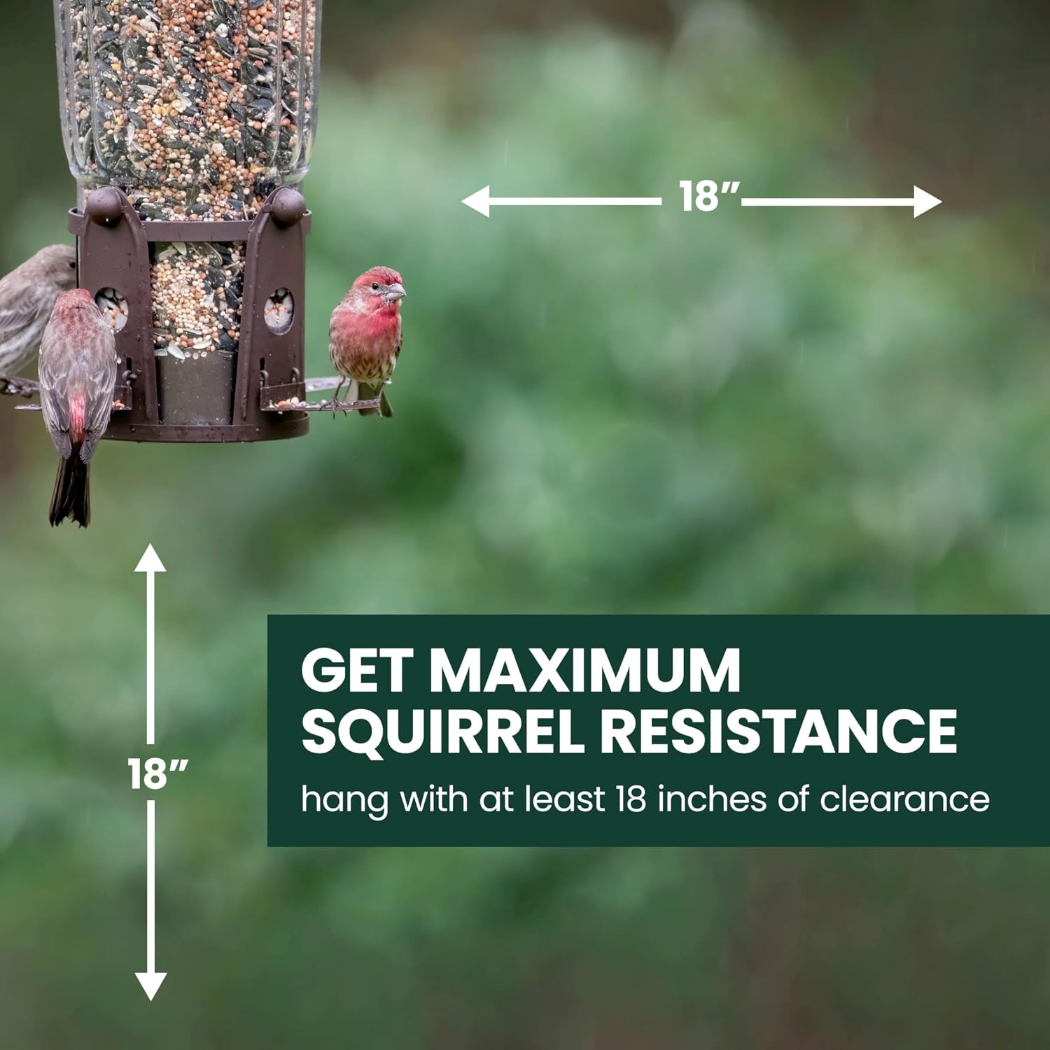 Perky-Pet Squirrel-Be-Gone Max Bird Feeder, (4) Flexport Feeding Stations | Squirrel-Proof Metal Hanging Feeder for Outdoors