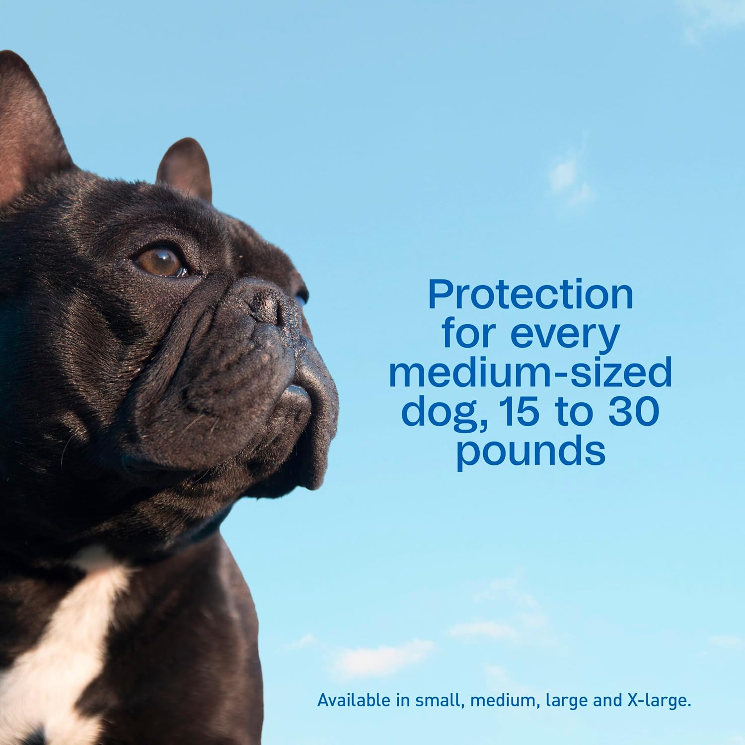 ADAMS Plus Flea & Tick Prevention Spot On for Extra Large Dogs, 3 Pack