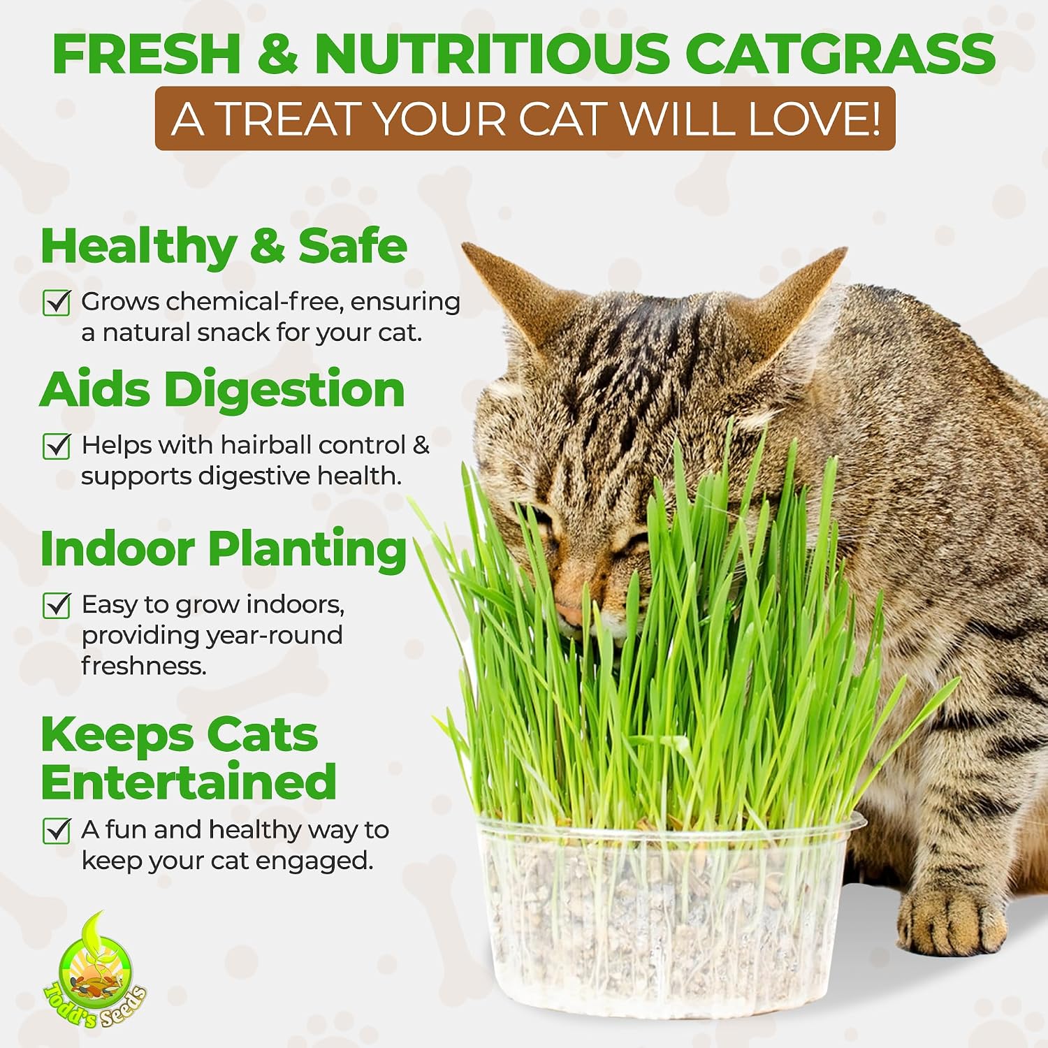 Todd's Seeds Hard Red Wheatgrass Seeds, 5 lb Bulk – Non-GMO | Hard Red Winter Wheat variety. Bulk 5 lb supply. High germination rate. Grow in soil or hydroponics. USA packed.