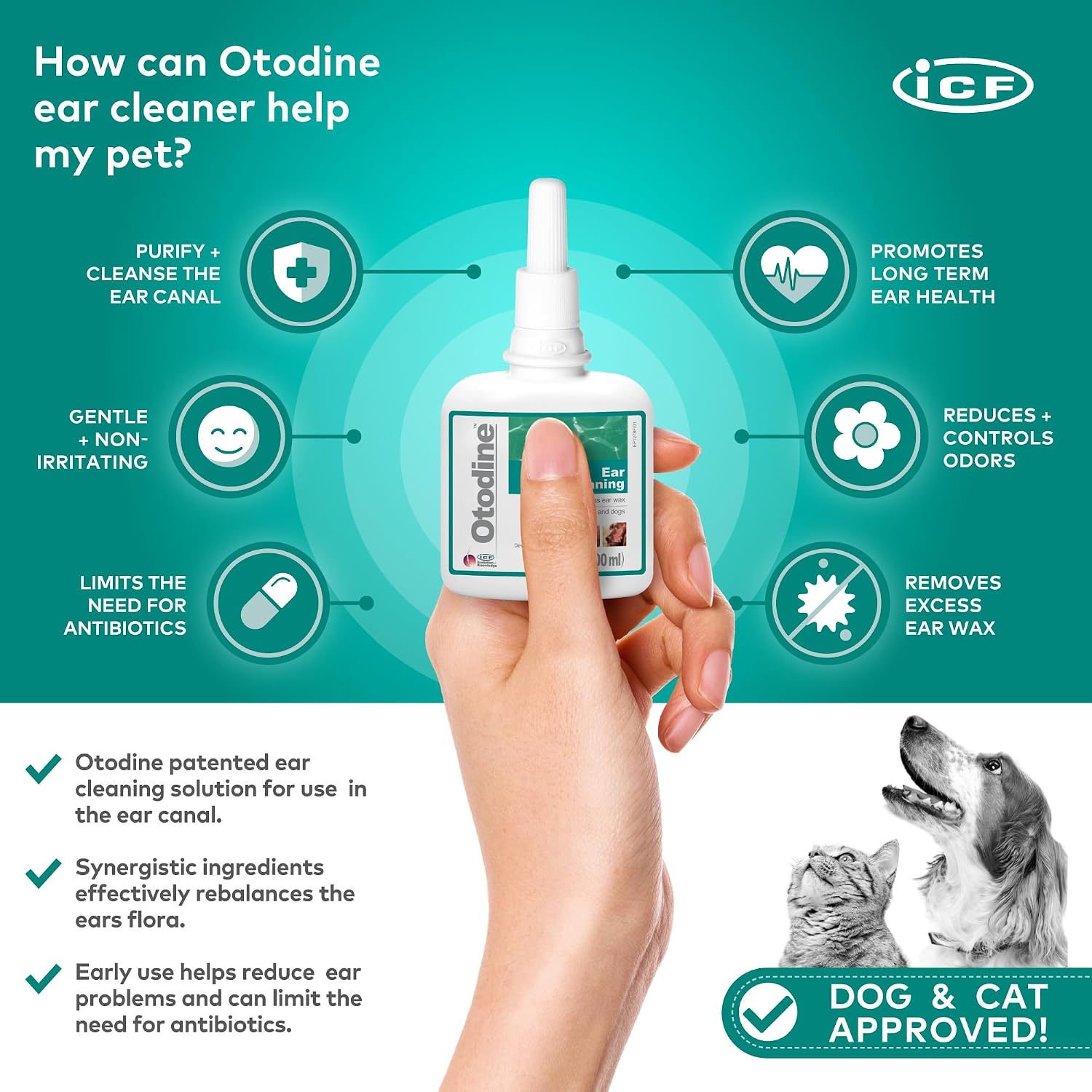 ICF Otodine Dog Ear Cleaner Solution Drops for Itchy Ears, Infections, Head Shaking, Scratching, Wax
