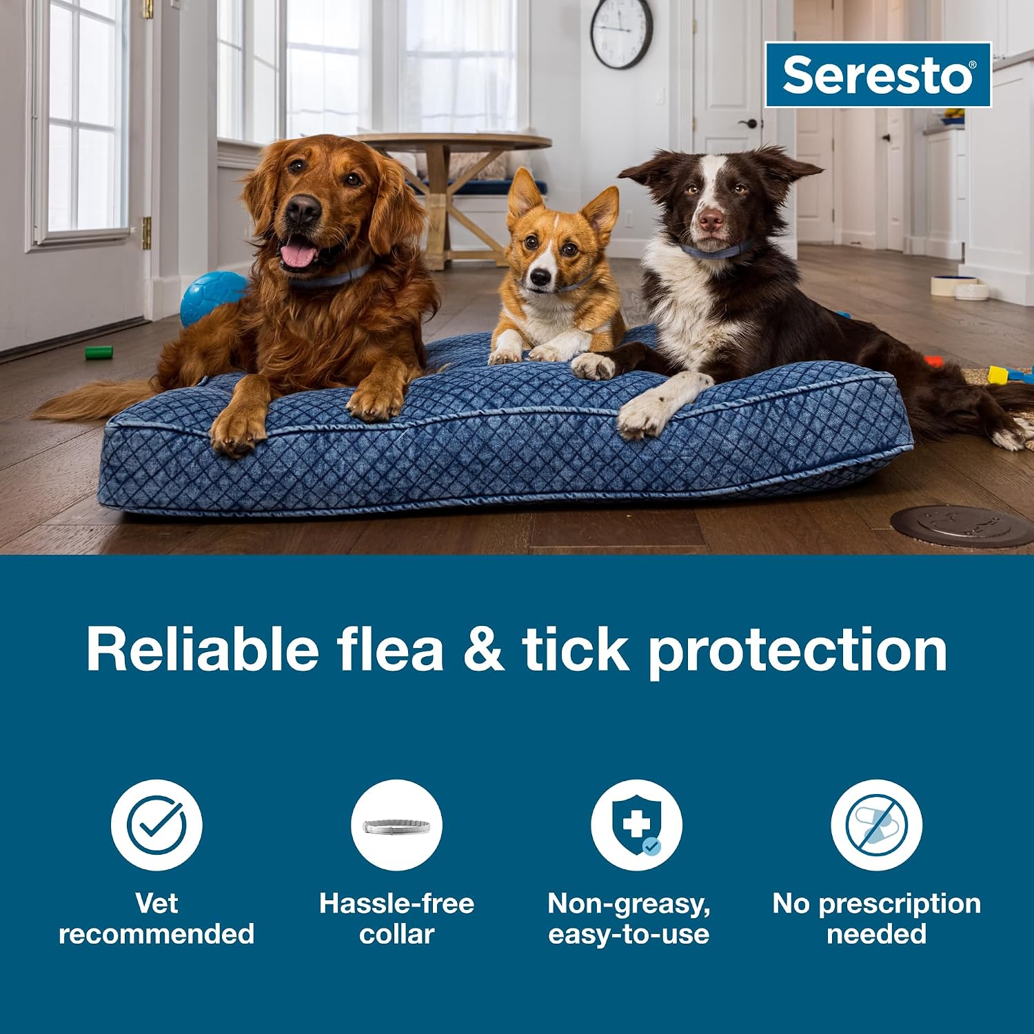 Seresto Large Dog for Dogs Over 18 lbs. & Seresto for Cats Vet-Recommended Flea & Tick Treatment & Prevention Collars | 8 Months Protection Each