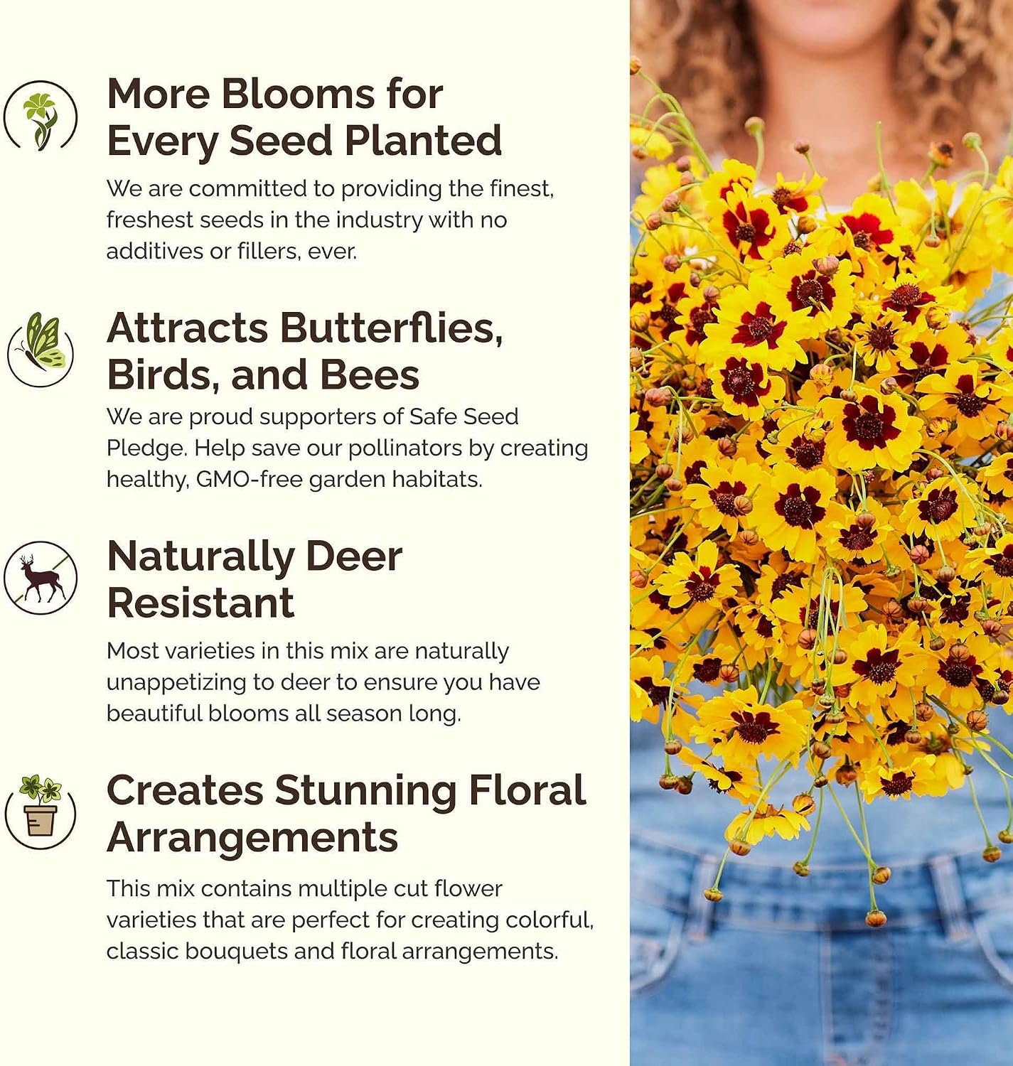 Eden Brothers All Perennial Wildflower Mixed Seeds for Planting, 1 lb, 480,000+ Seeds with Lupine, Shasta Daisy | Attracts Pollinators, Plant in Spring or Fall, Zones 3, 4, 5, 6, 7, 8, 9, 10