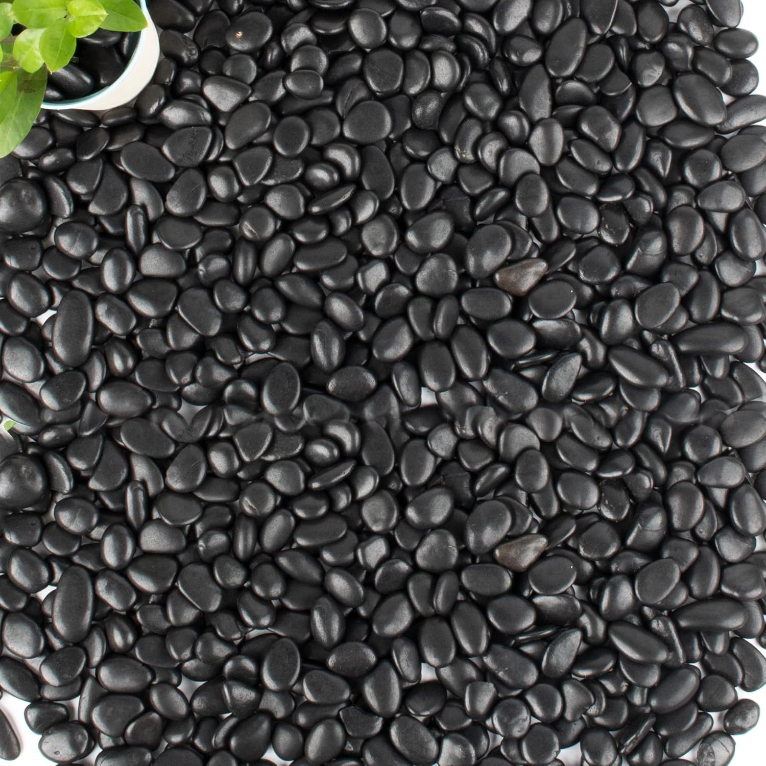 Pebbles for Plants 3 lb Natural Garden Decorative Stone Outdoor Aquariums Gravel 1-1.5 Inches