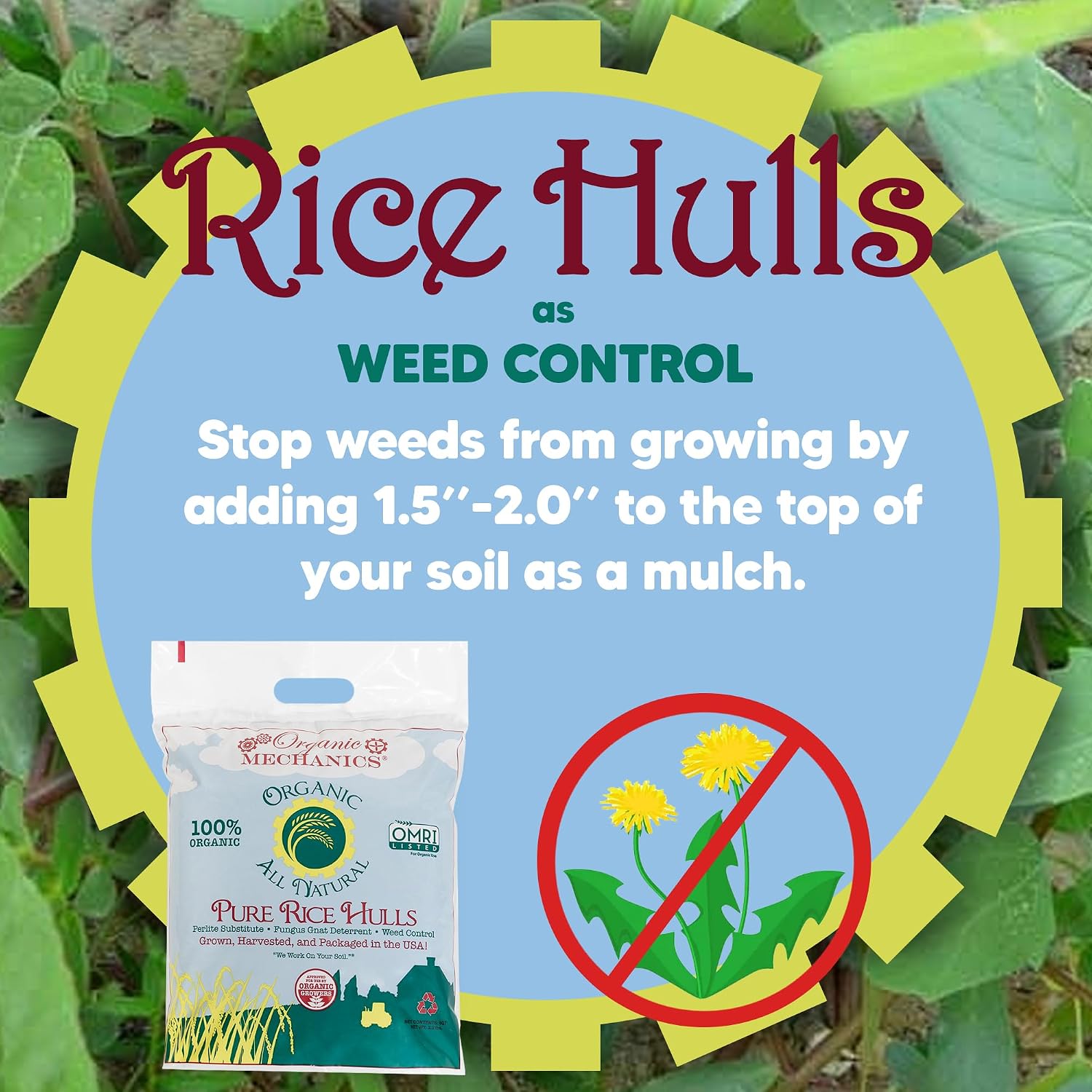 Organic Mechanics Pure Rice Hulls, 2 Cu Ft - Sustainable Alternative to Perlite - Enhances Drainage, Porosity and Air Space - Eco-Friendly